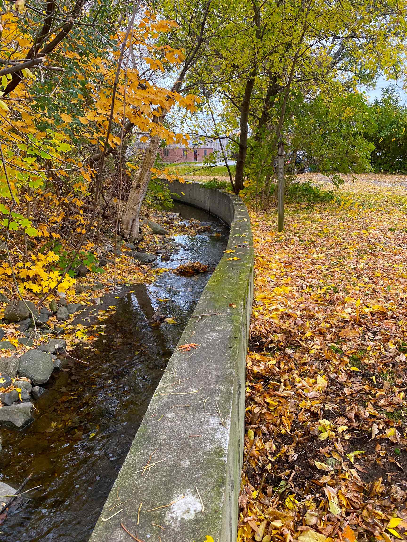 22 Lower Welden Street Unit: A