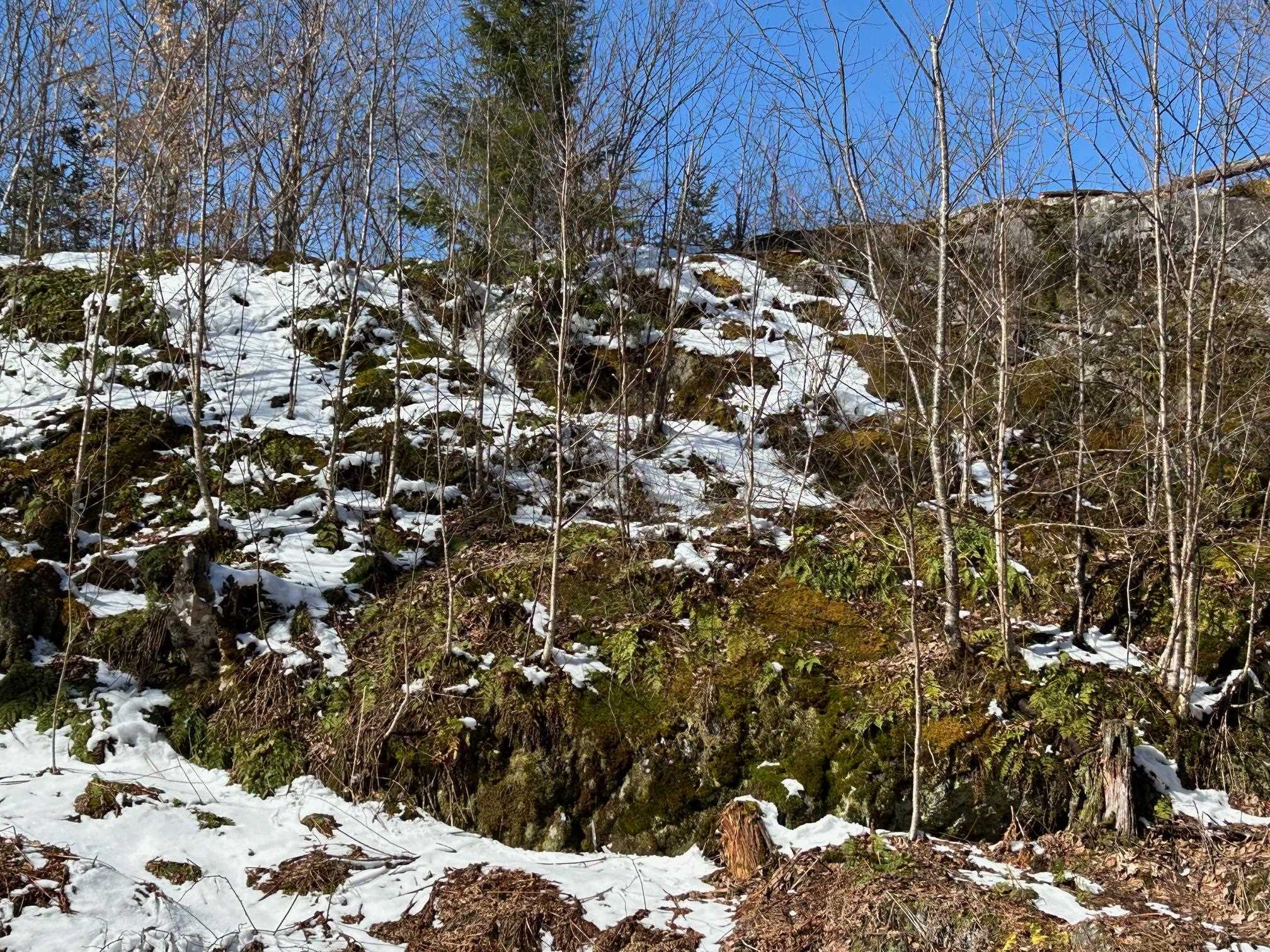 240 Green Park West Road Unit: "Solar Lot"