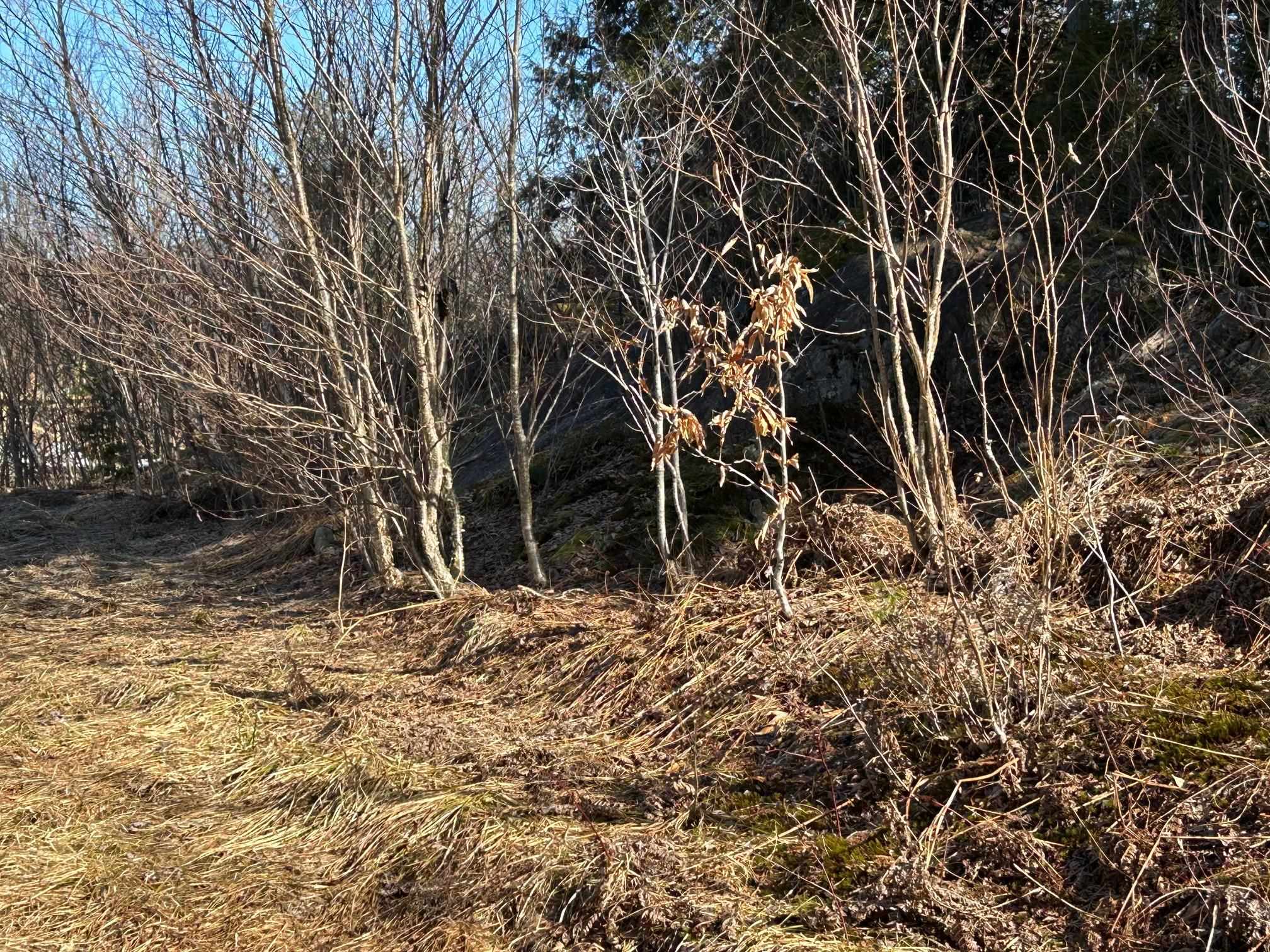 240 Green Park West Road Unit: "Solar Lot"