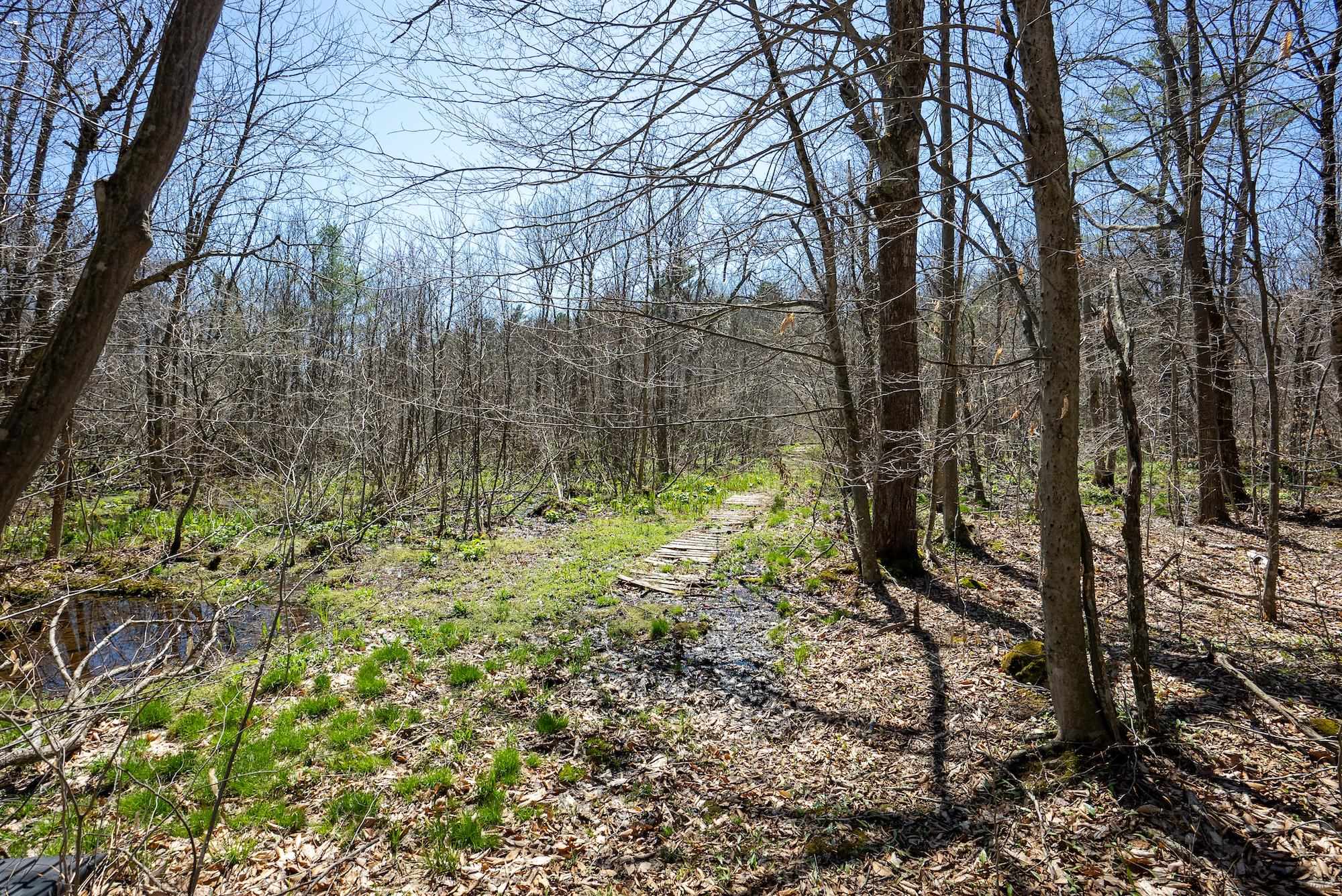 1884 North Road
