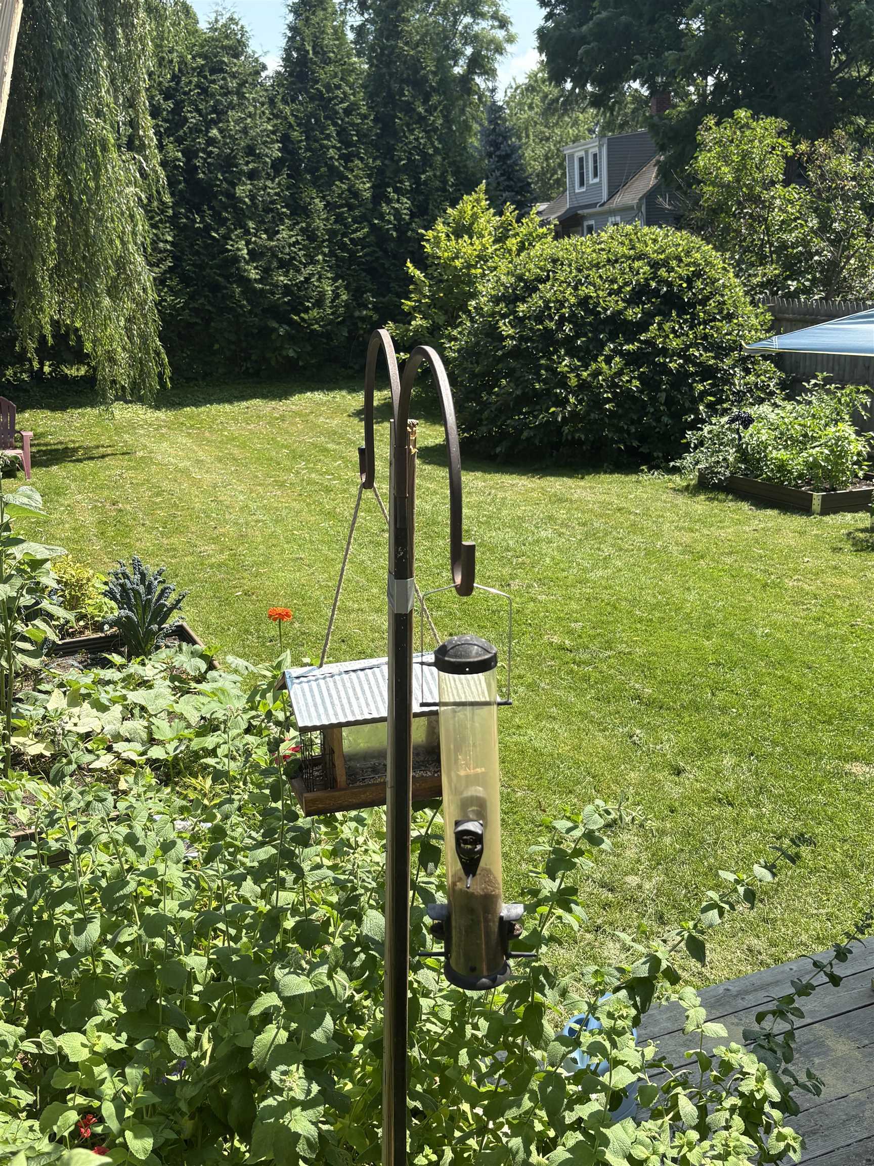 8 South Summit Street