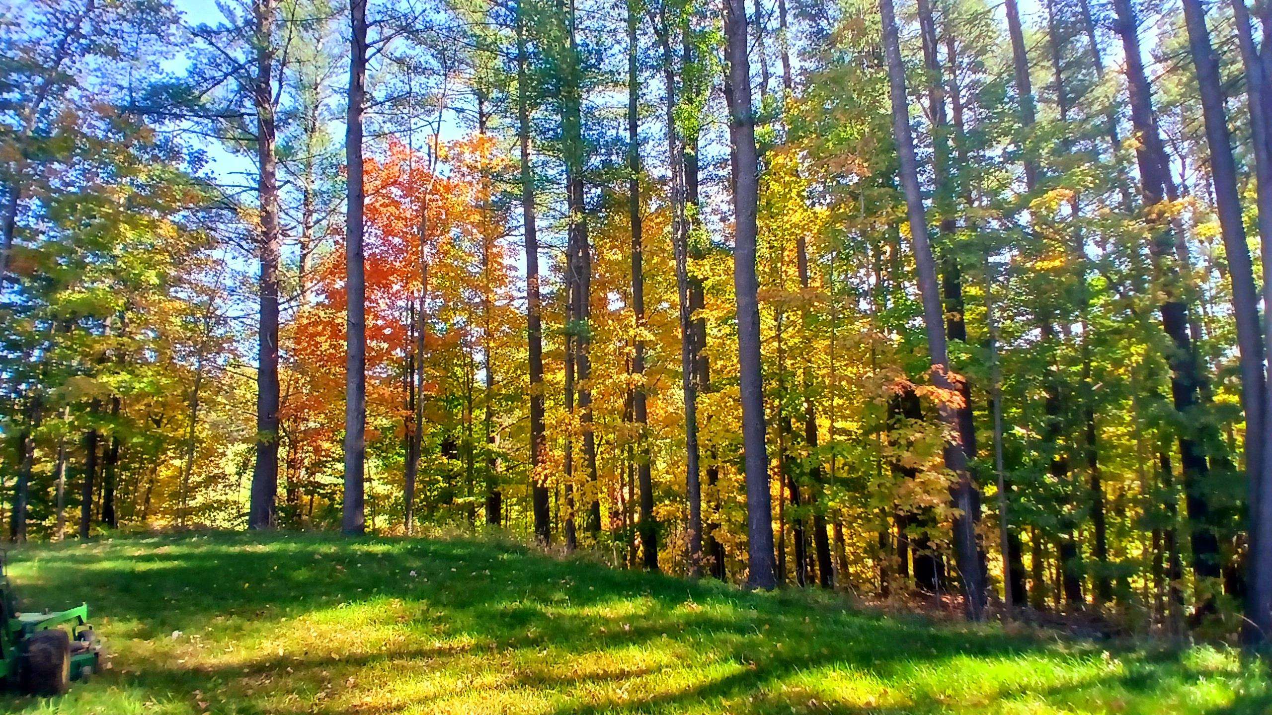 2318 West Enosburg Road