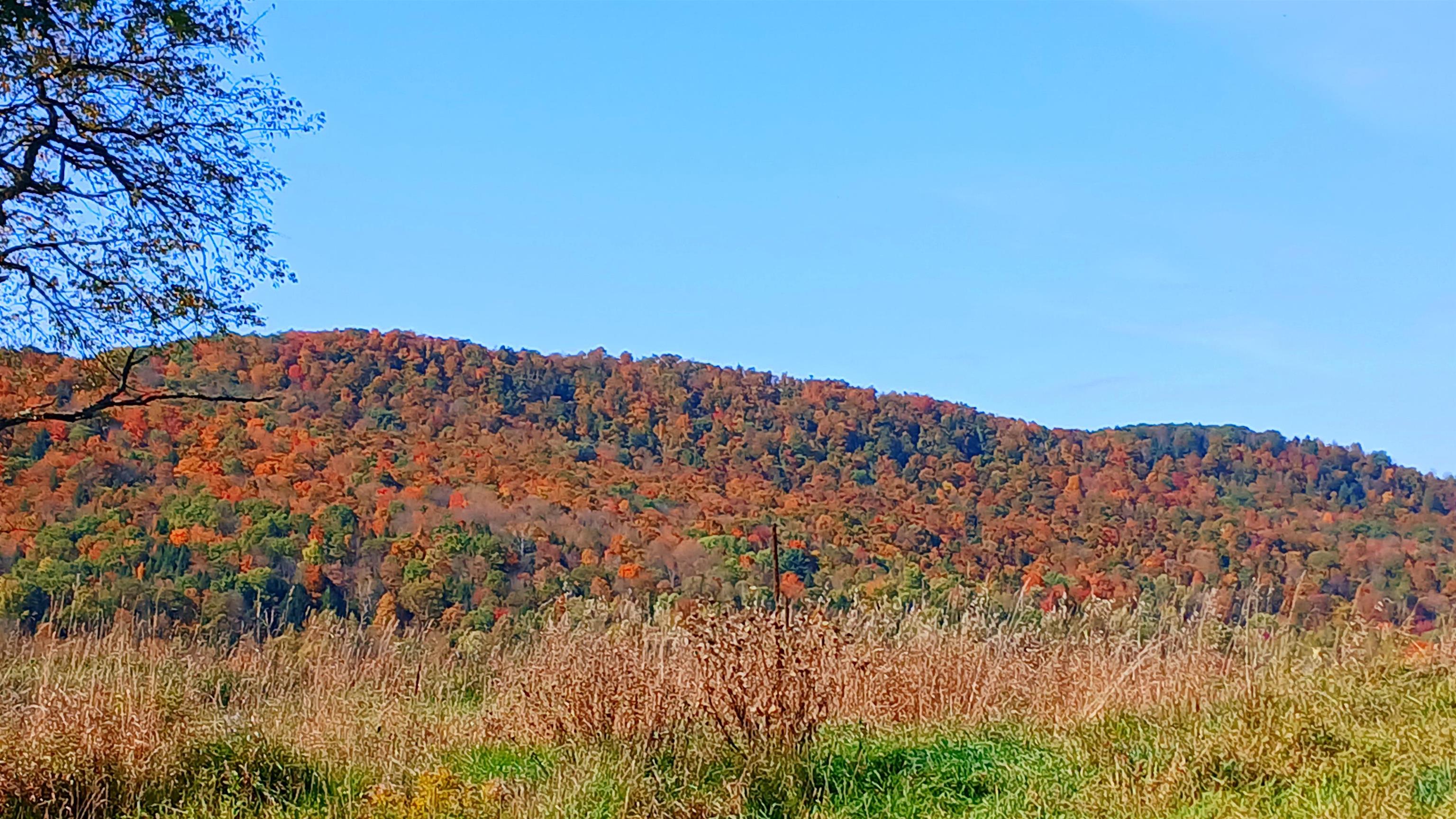 2318 West Enosburg Road