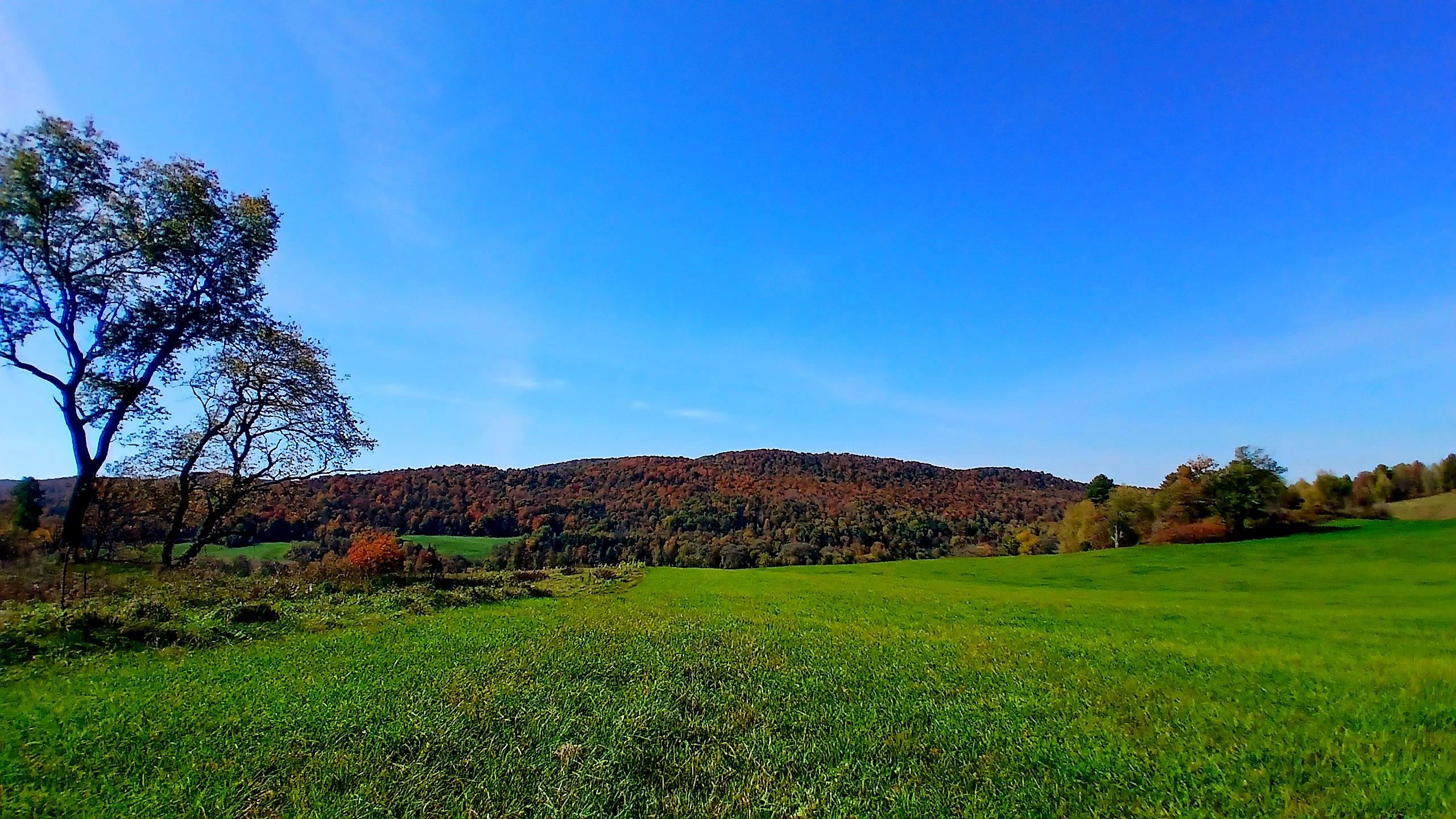 2318 West Enosburg Road