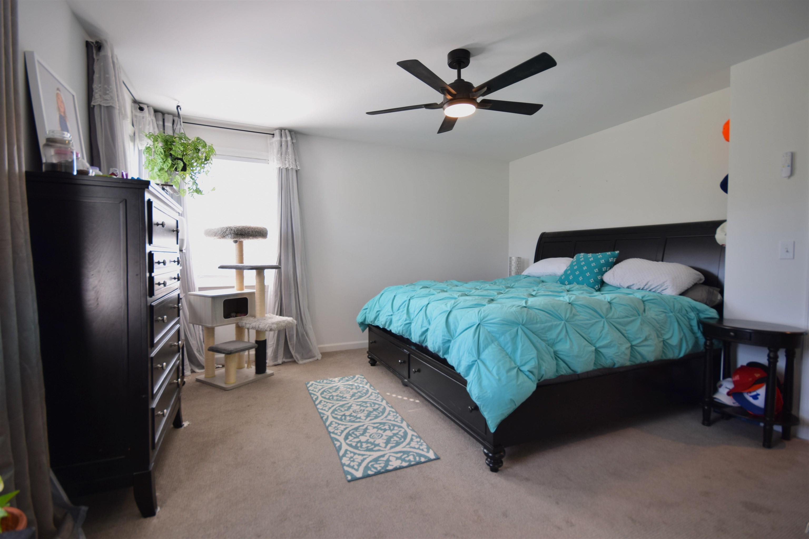 166 Horseshoe Circle