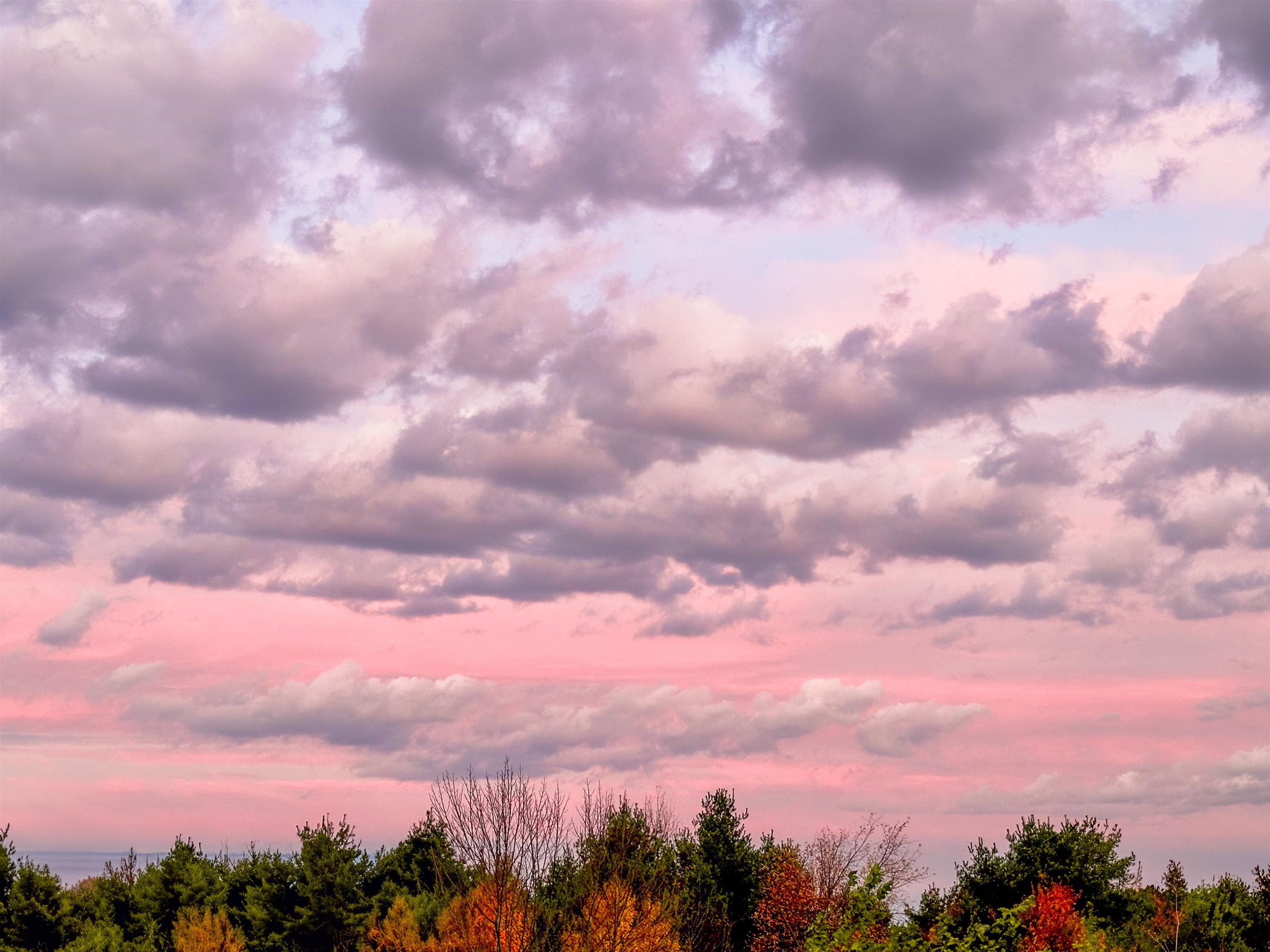 166 Horseshoe Circle