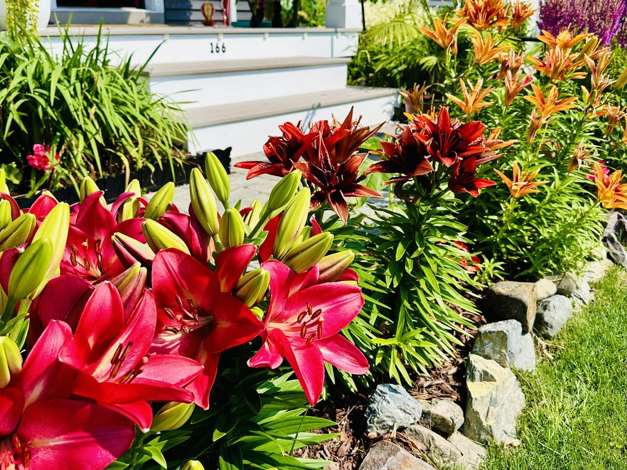 166 Horseshoe Circle