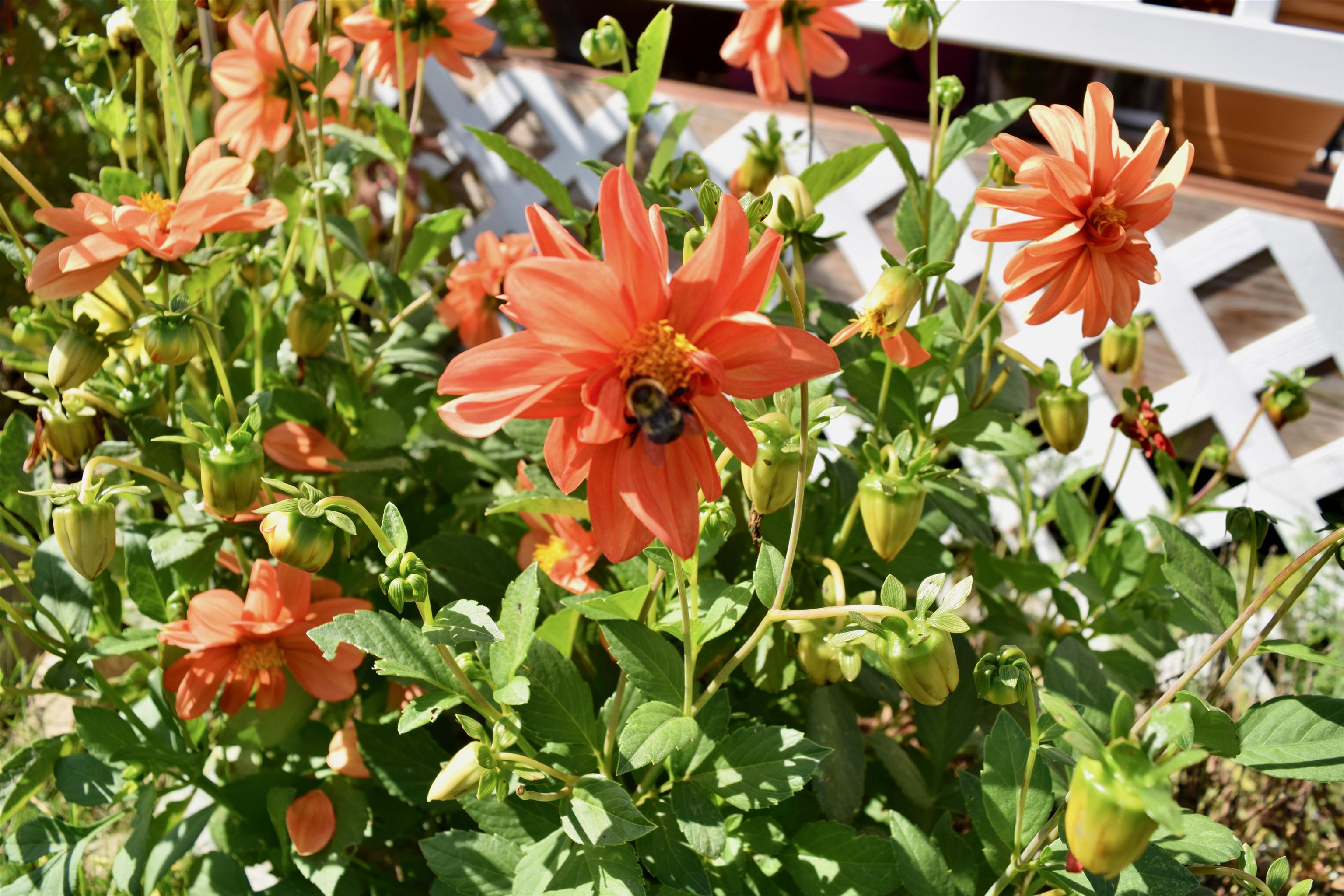 166 Horseshoe Circle