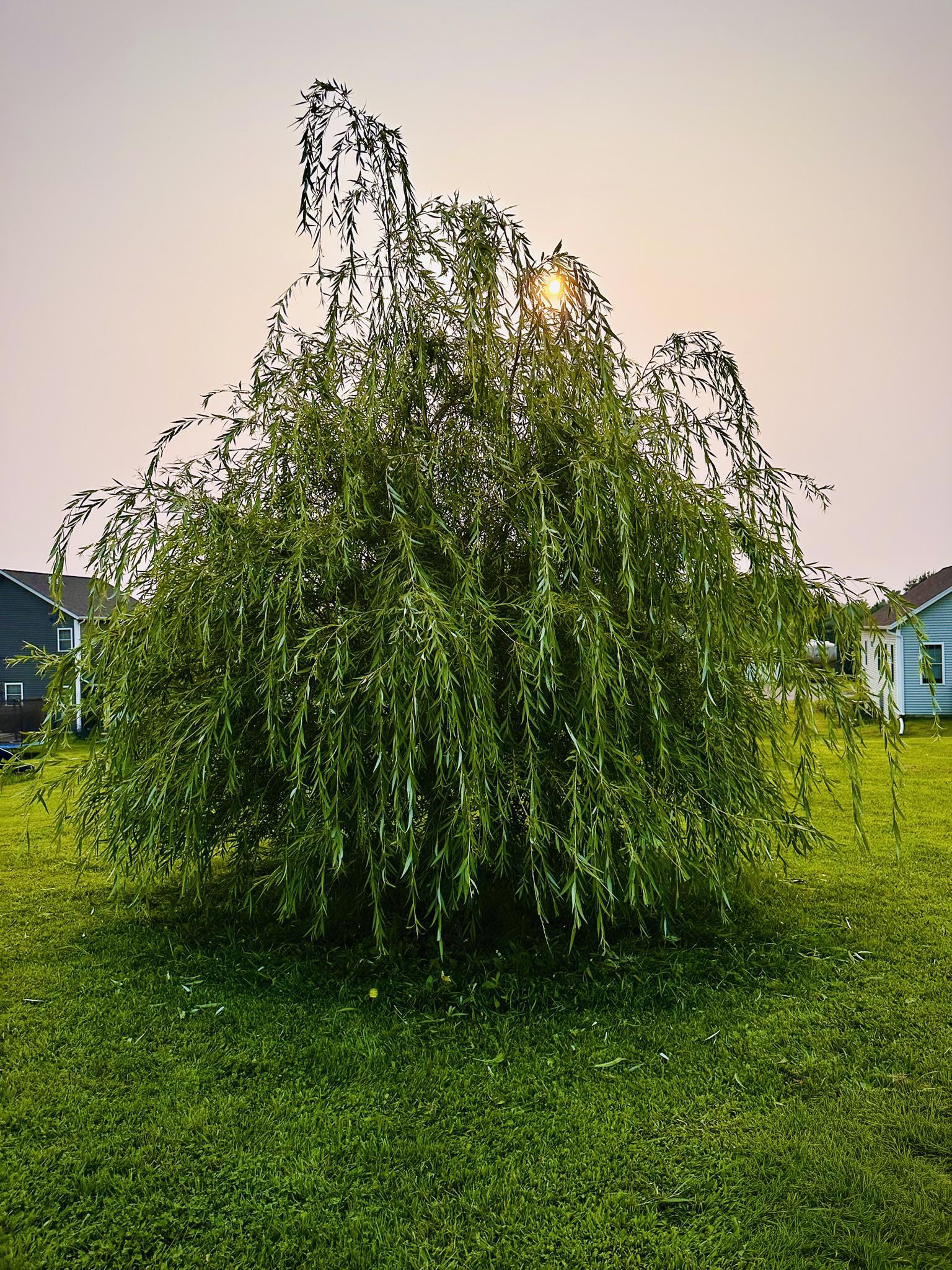 166 Horseshoe Circle