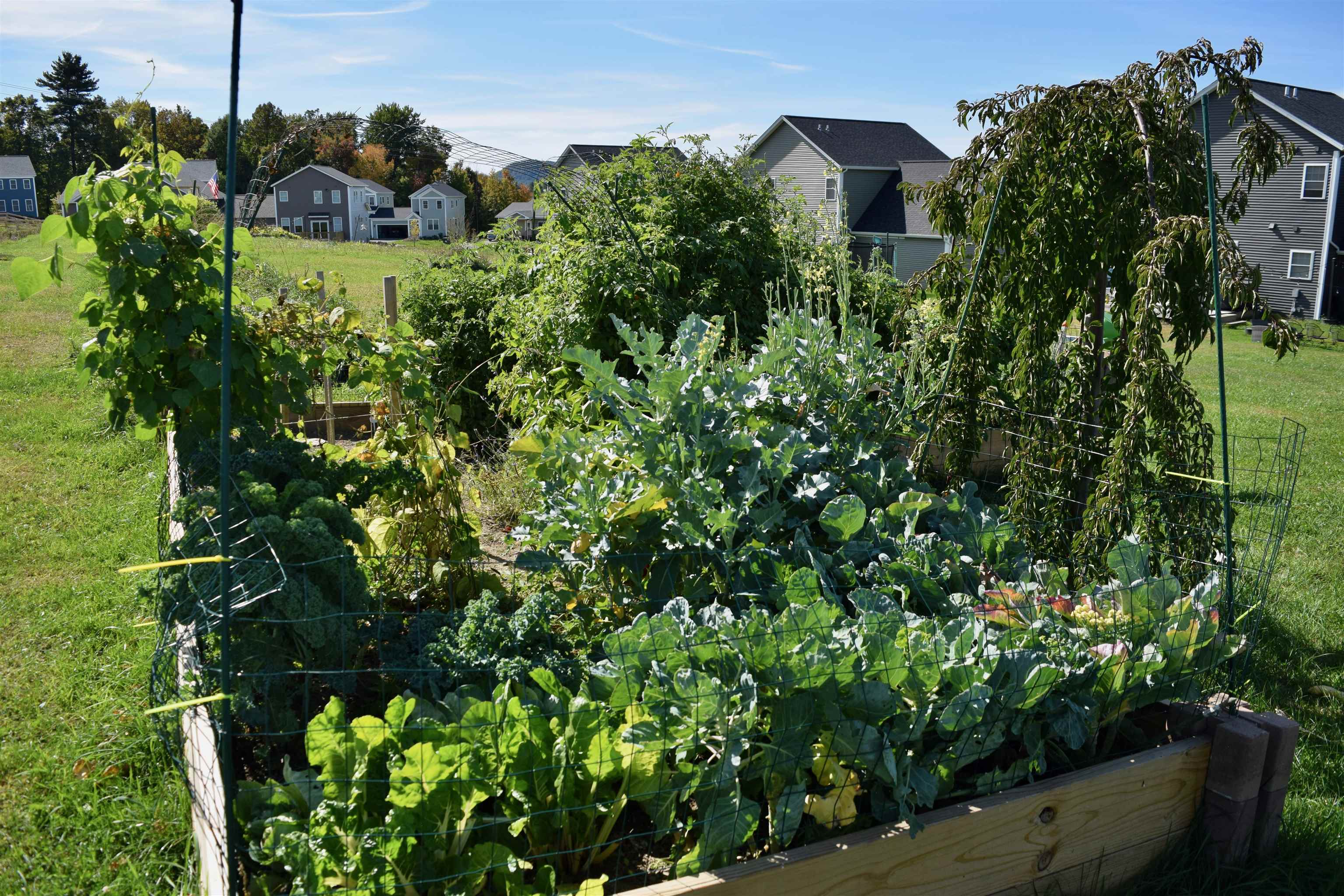 166 Horseshoe Circle