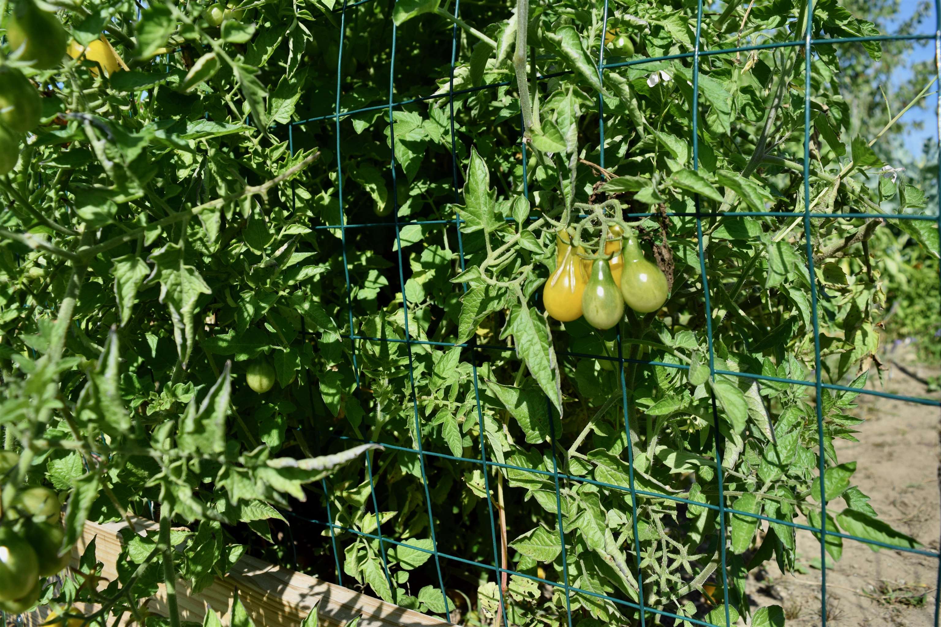 166 Horseshoe Circle