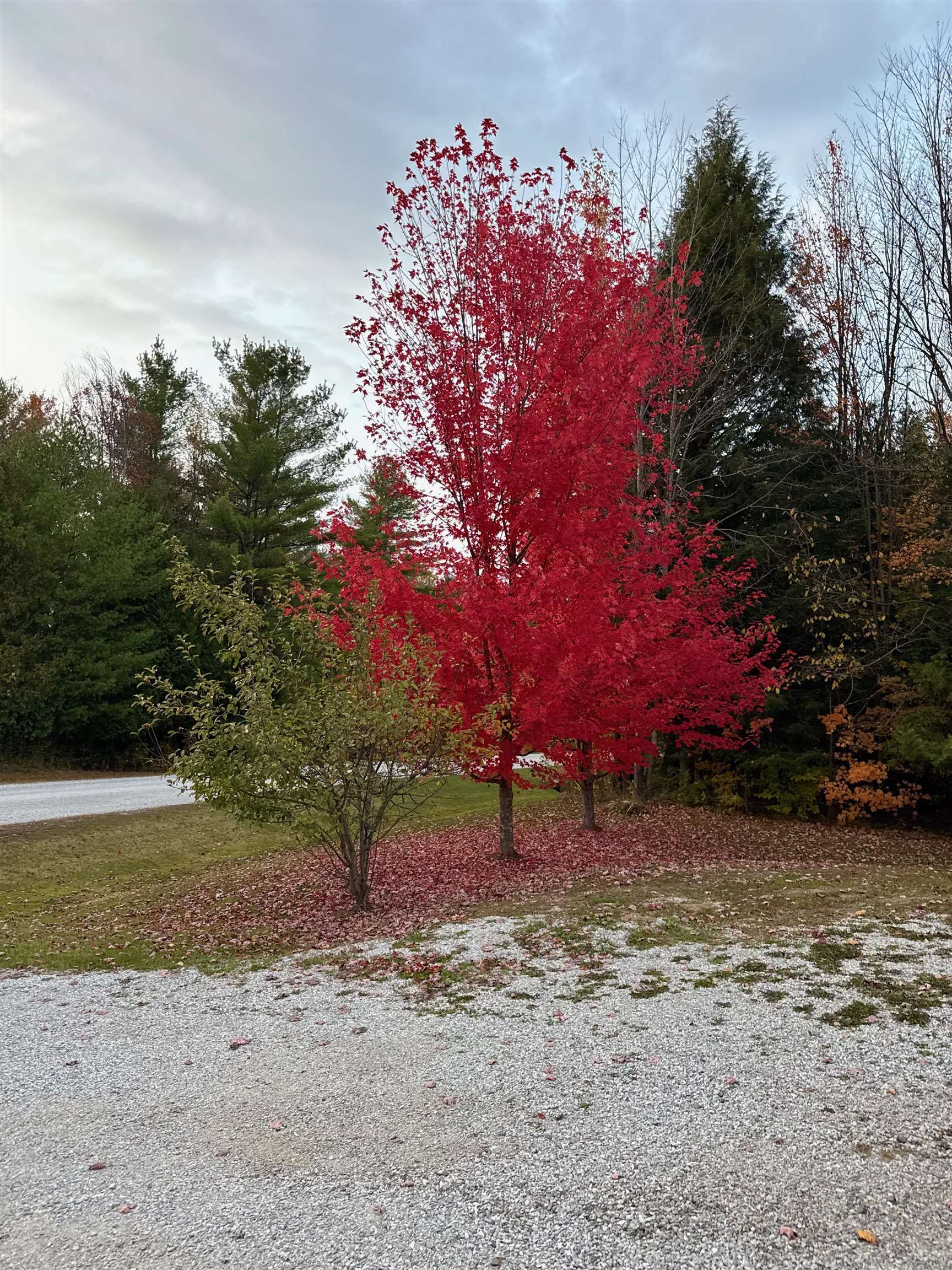 34 Gaudette Farm Road