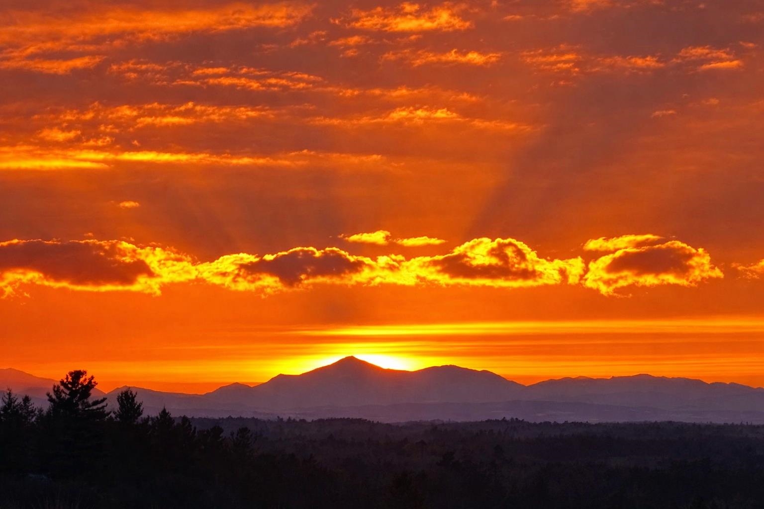 11 Steeplechase Lane