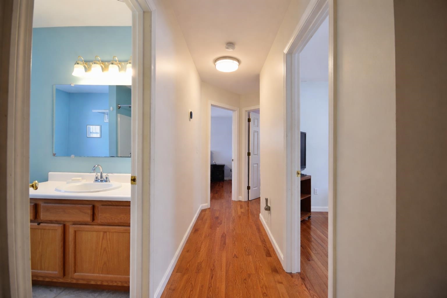 11 Steeplechase Lane