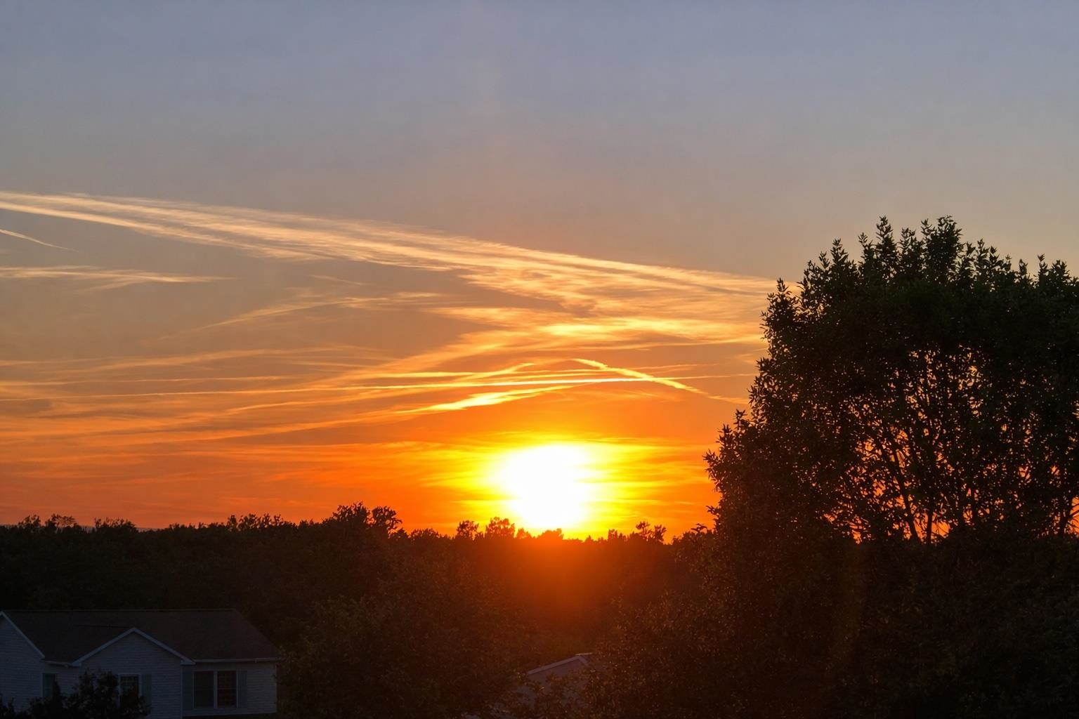 11 Steeplechase Lane