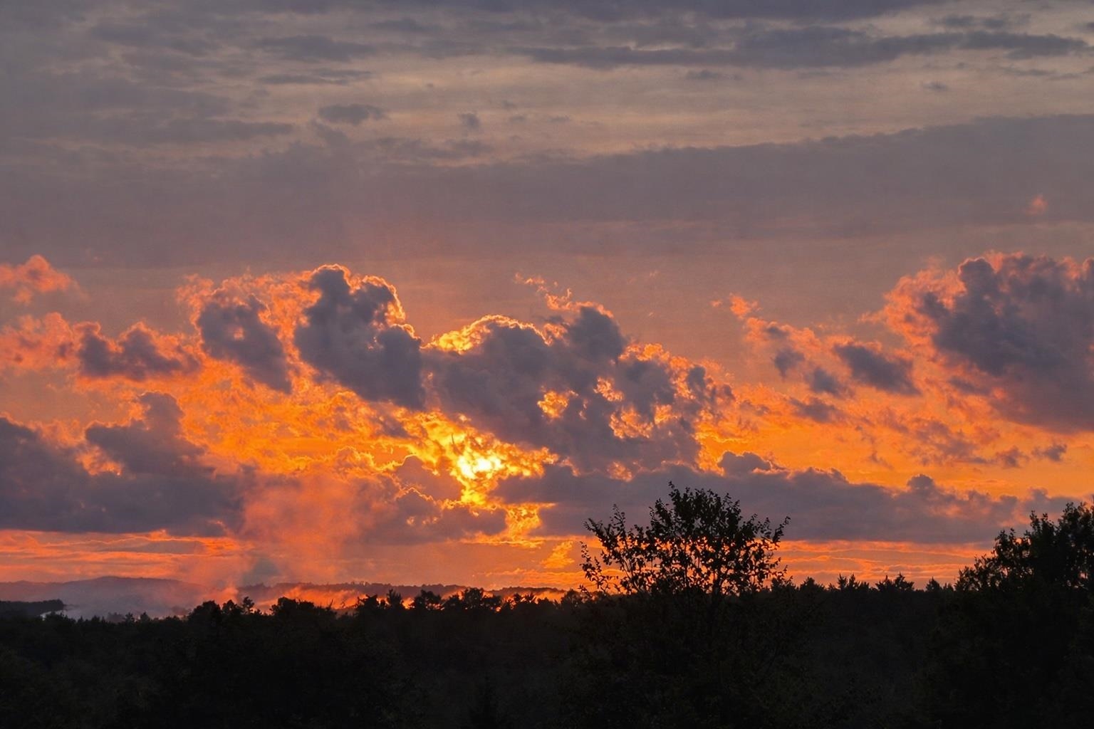 11 Steeplechase Lane