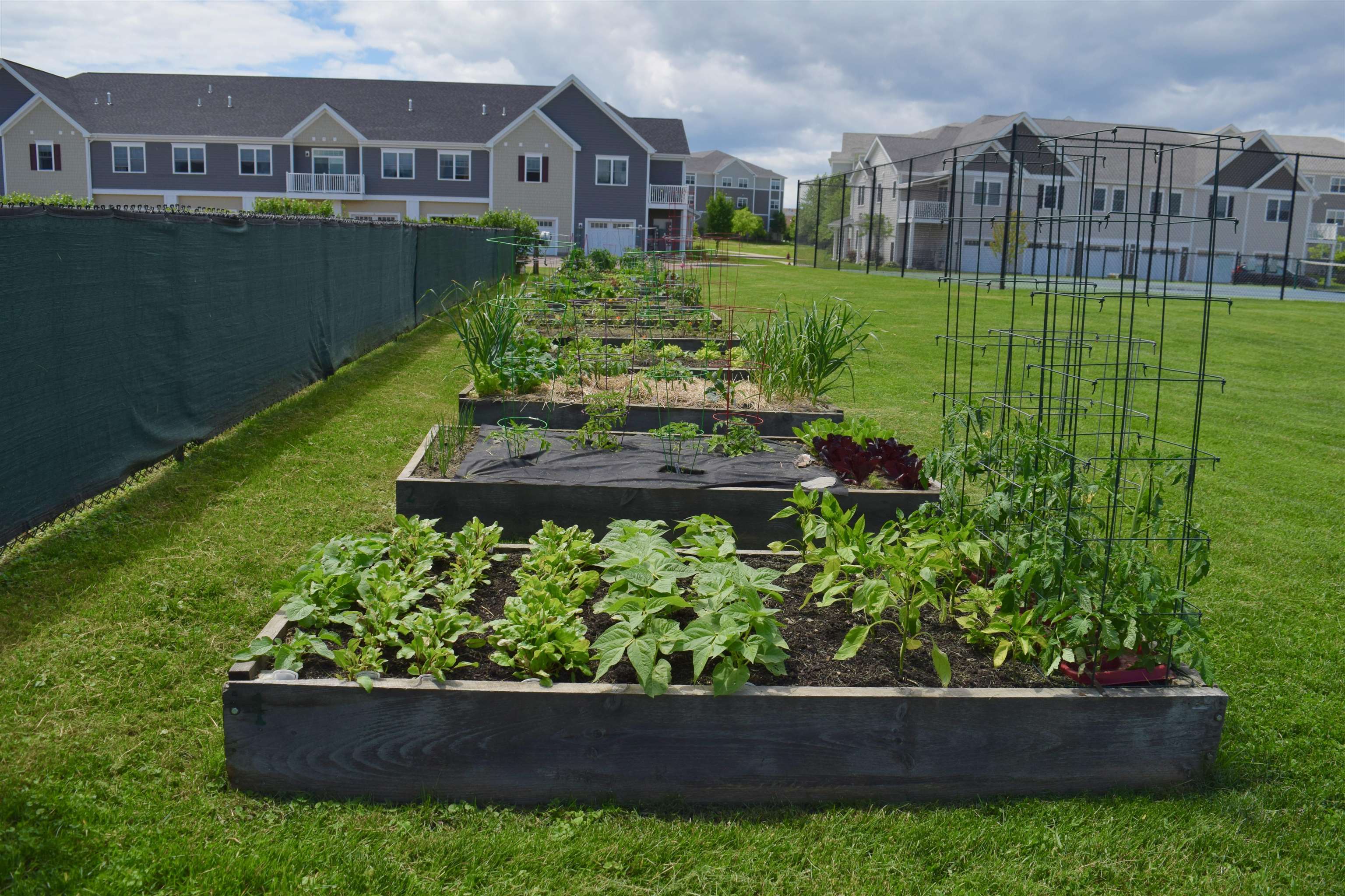 155 Holland Lane Unit: 1