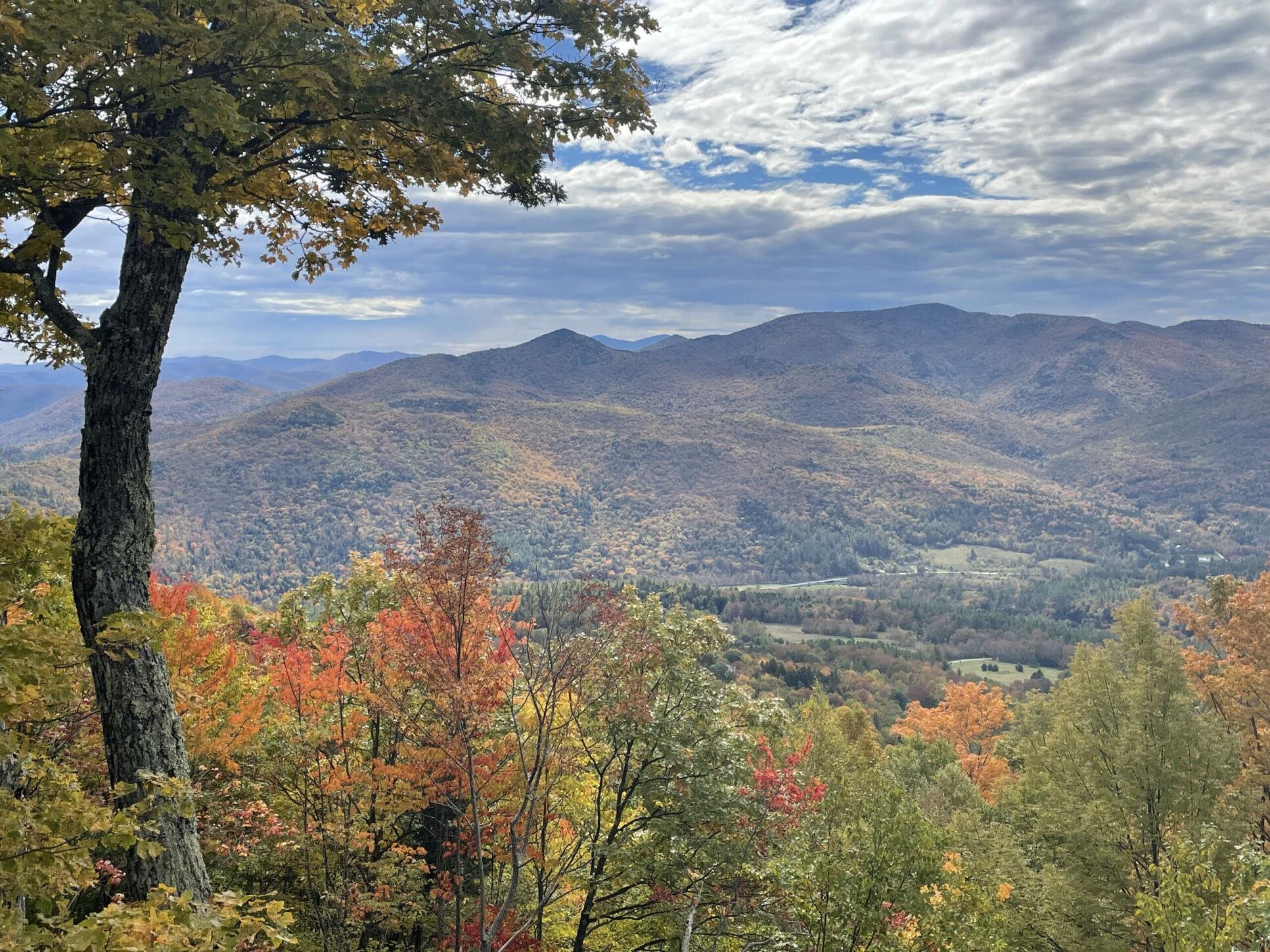 764 Upper Sparrow Hawk Road