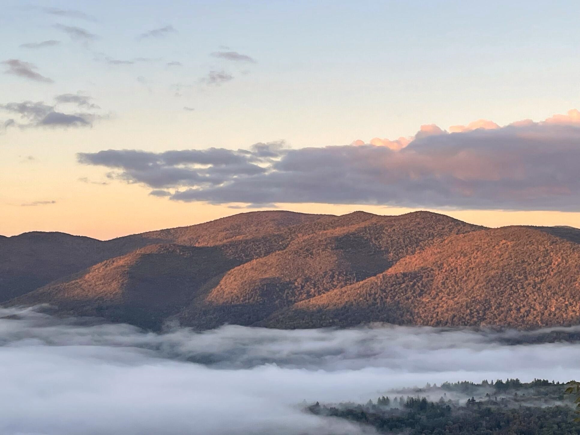 764 Upper Sparrow Hawk Road