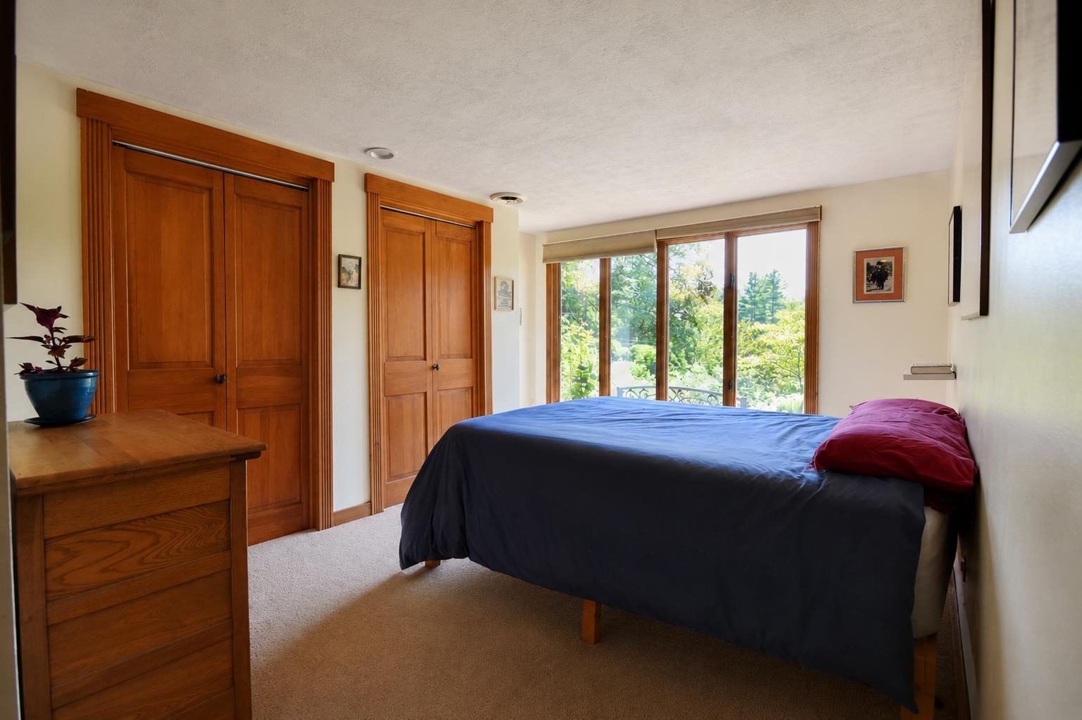 1123 Snipe Ireland Road