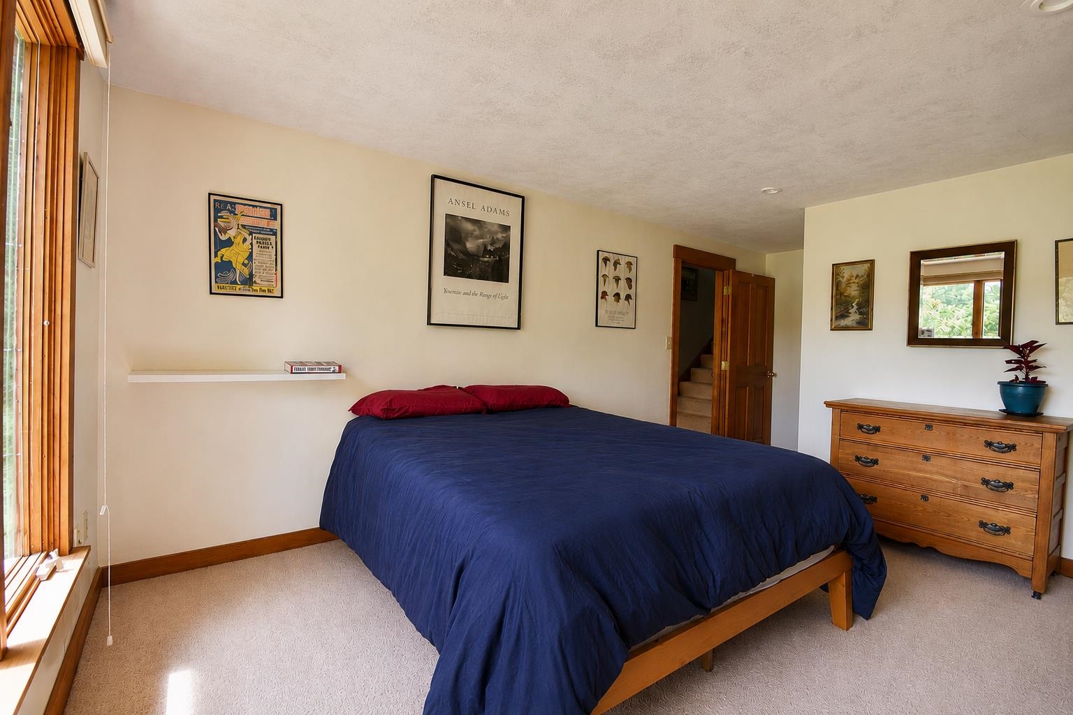 1123 Snipe Ireland Road