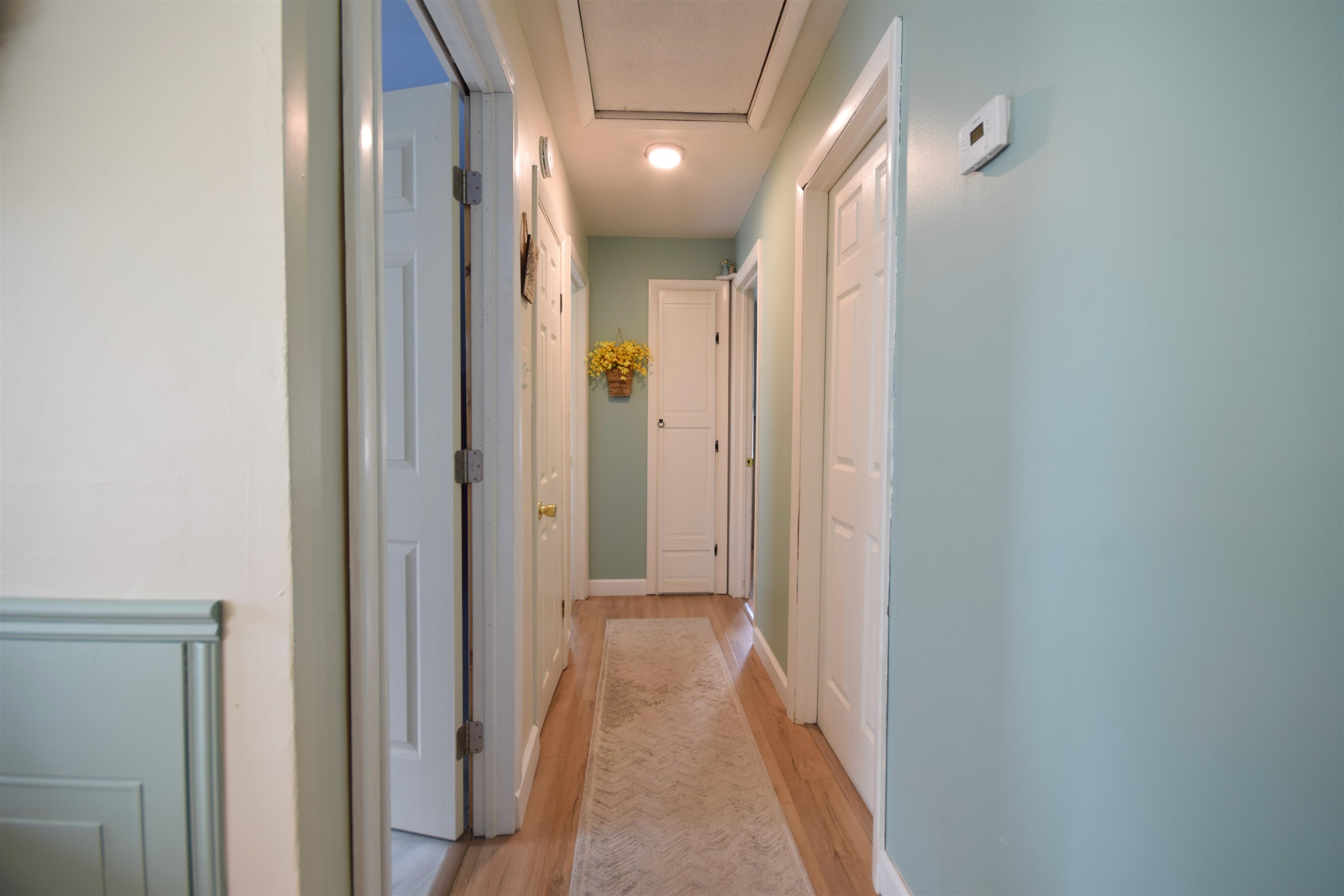 66 Belair Drive