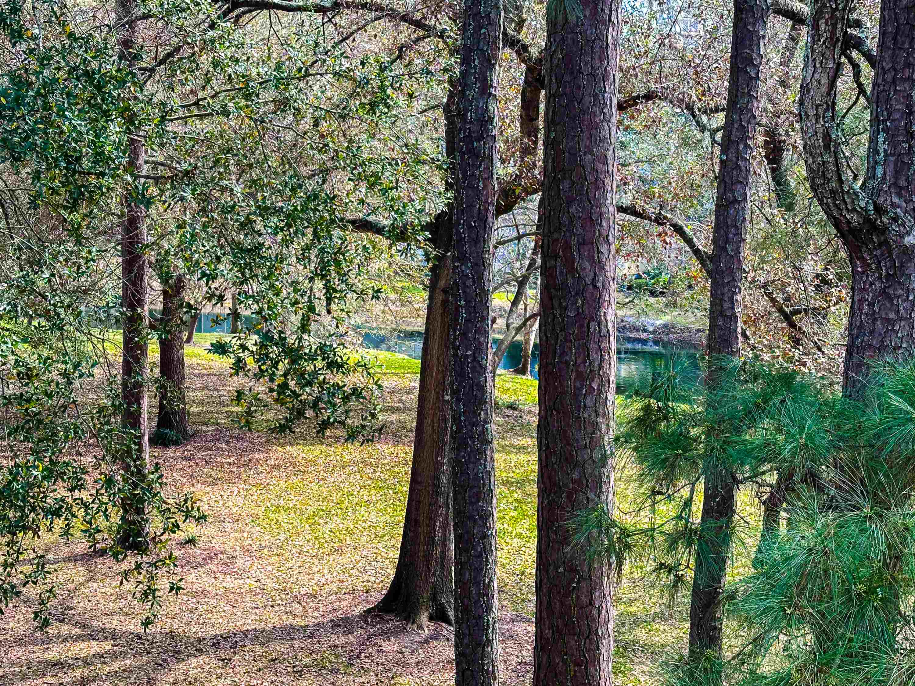 230 Westleton Dr. Unit: 20-D