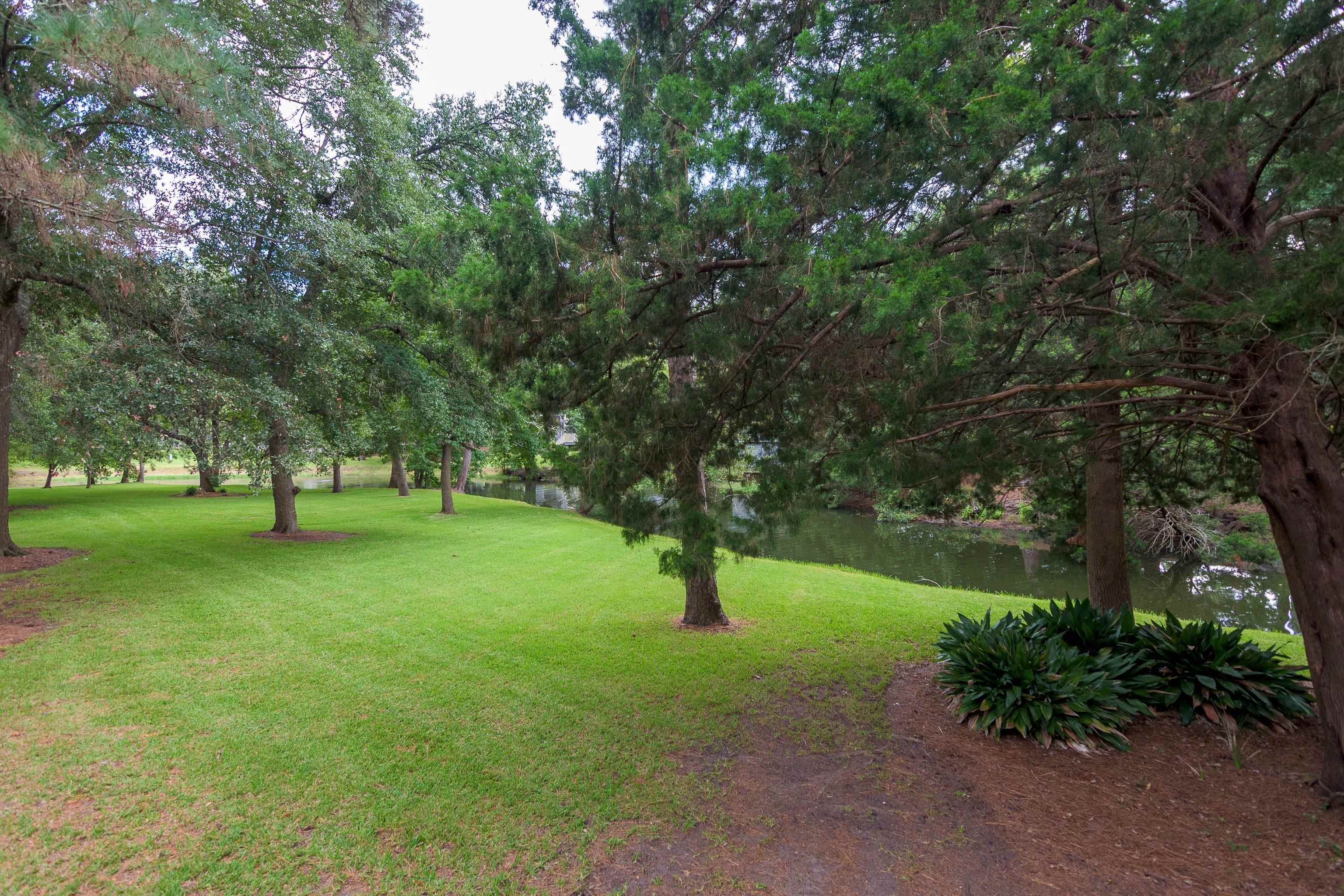 Tree-shaded lawn beside a narrow pond or creek.