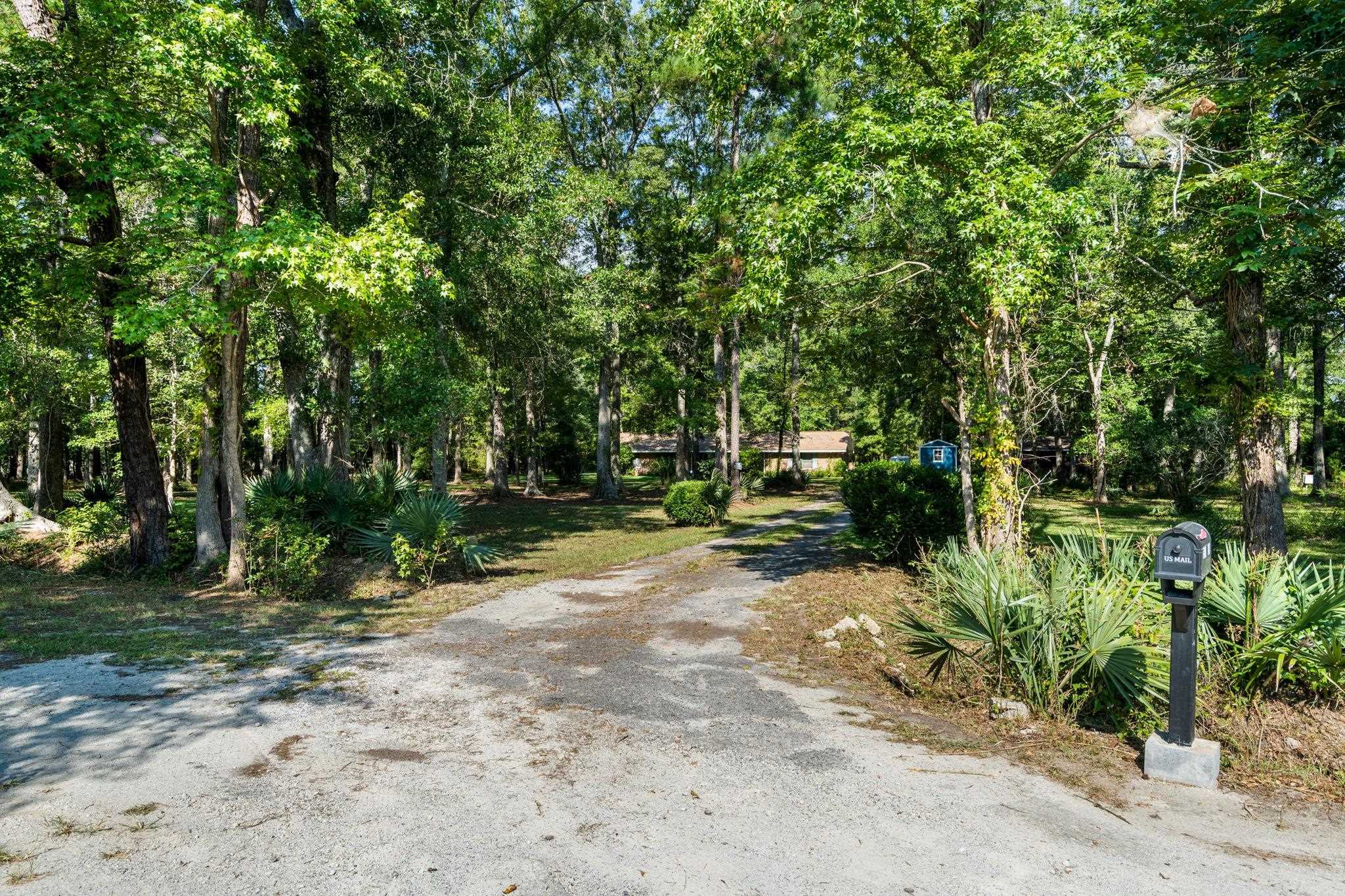 Single-story home set among mature trees, viewed from a gravel driveway with a mailbox and fan palms.