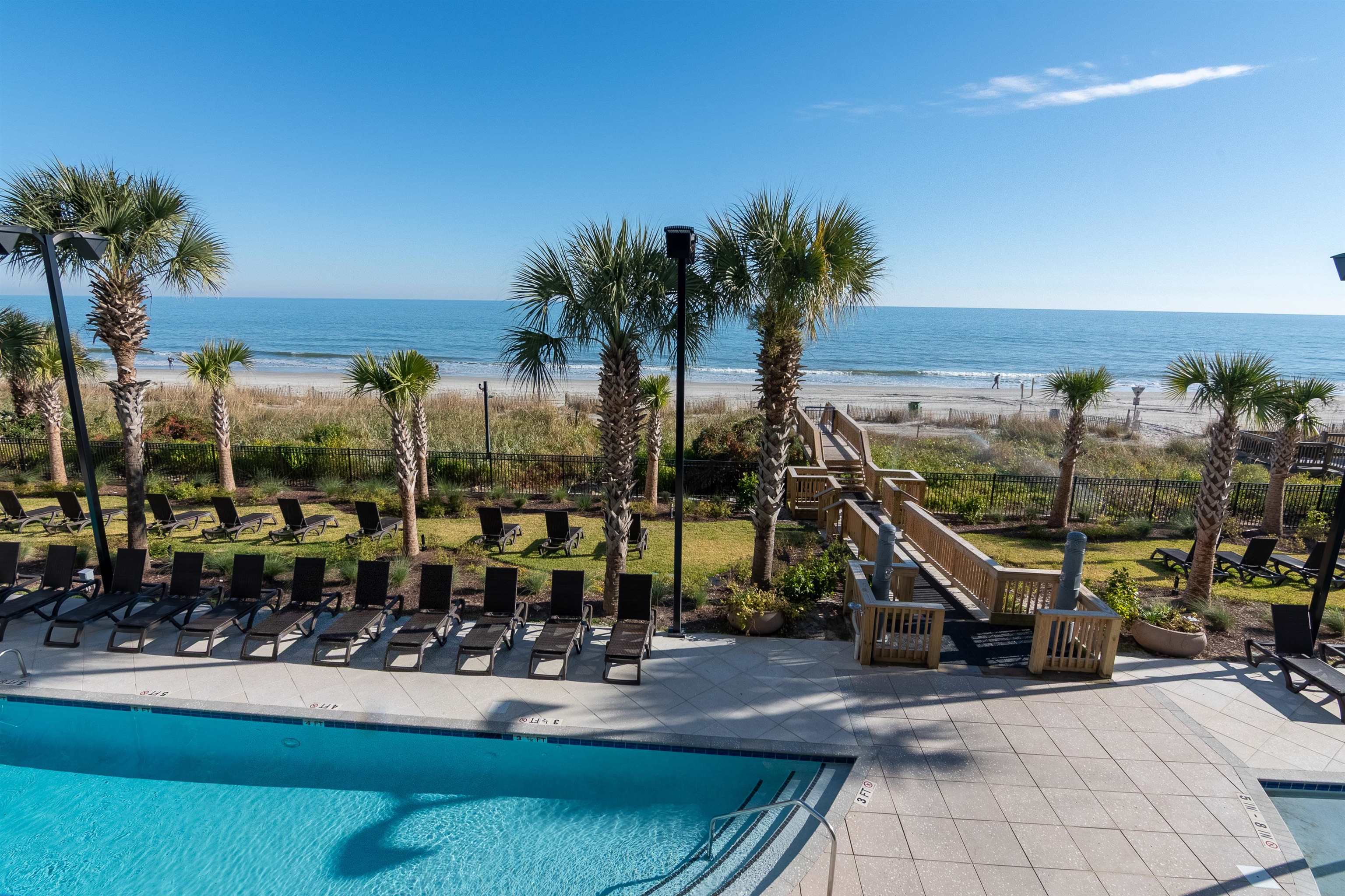 Outdoor pool and lounge deck overlook a palm-lined beach and ocean.