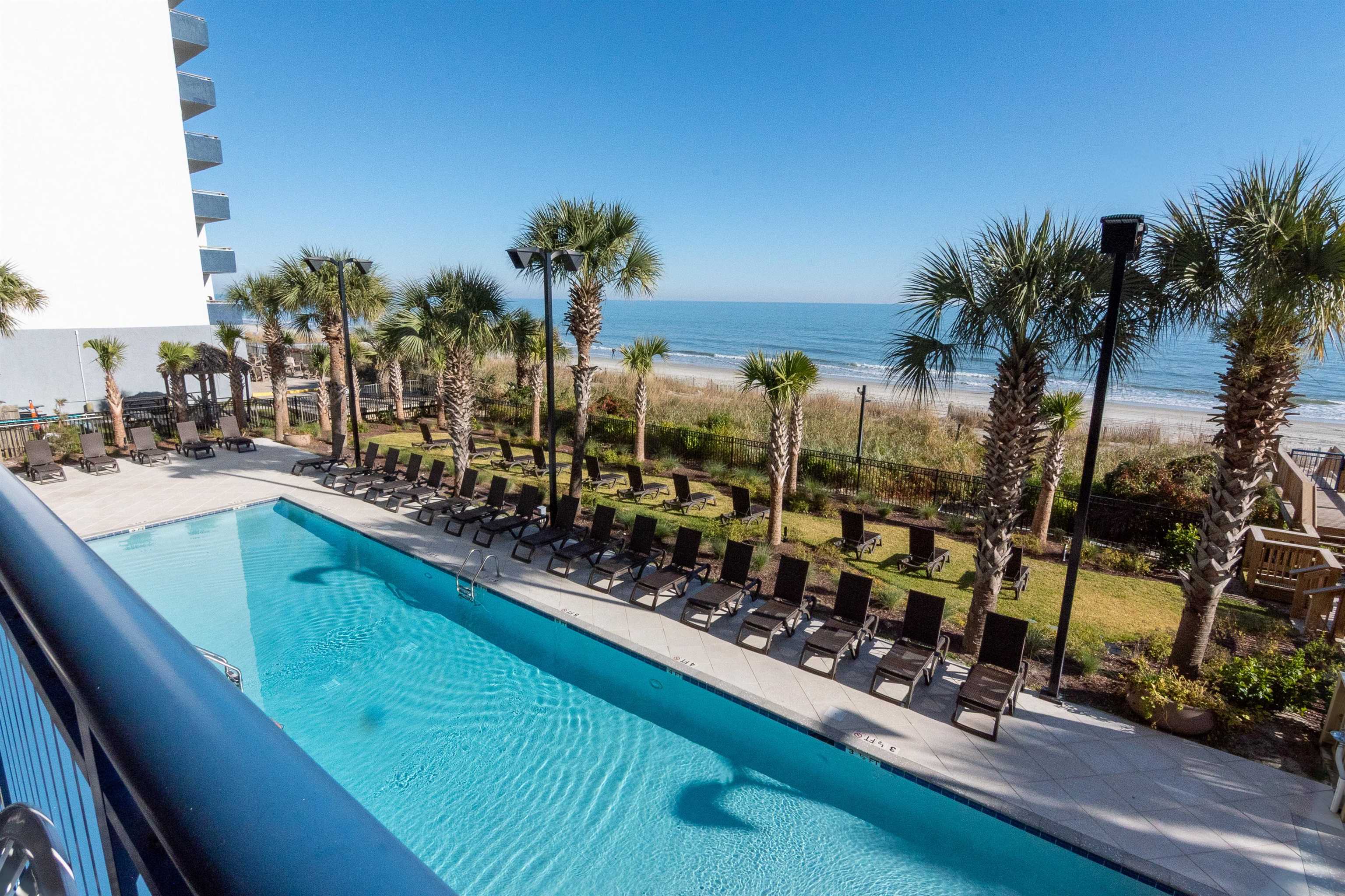 Beachfront pool lined with lounge chairs and palm trees, overlooking the ocean.