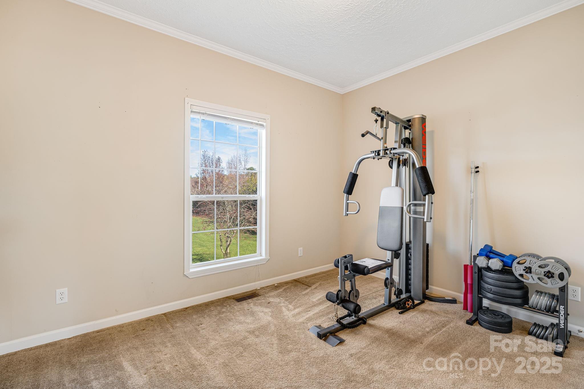 16 Lewis Creek Drive