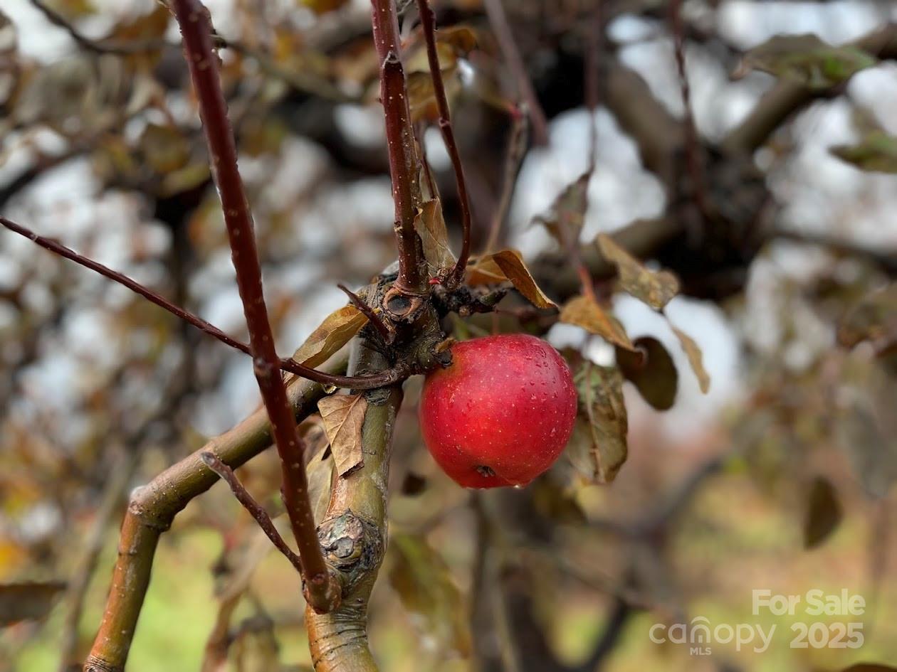 37 Bittersweet Drive