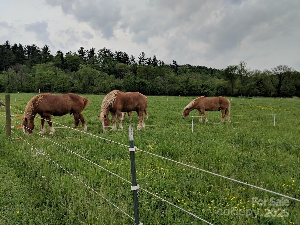 37 Bittersweet Drive