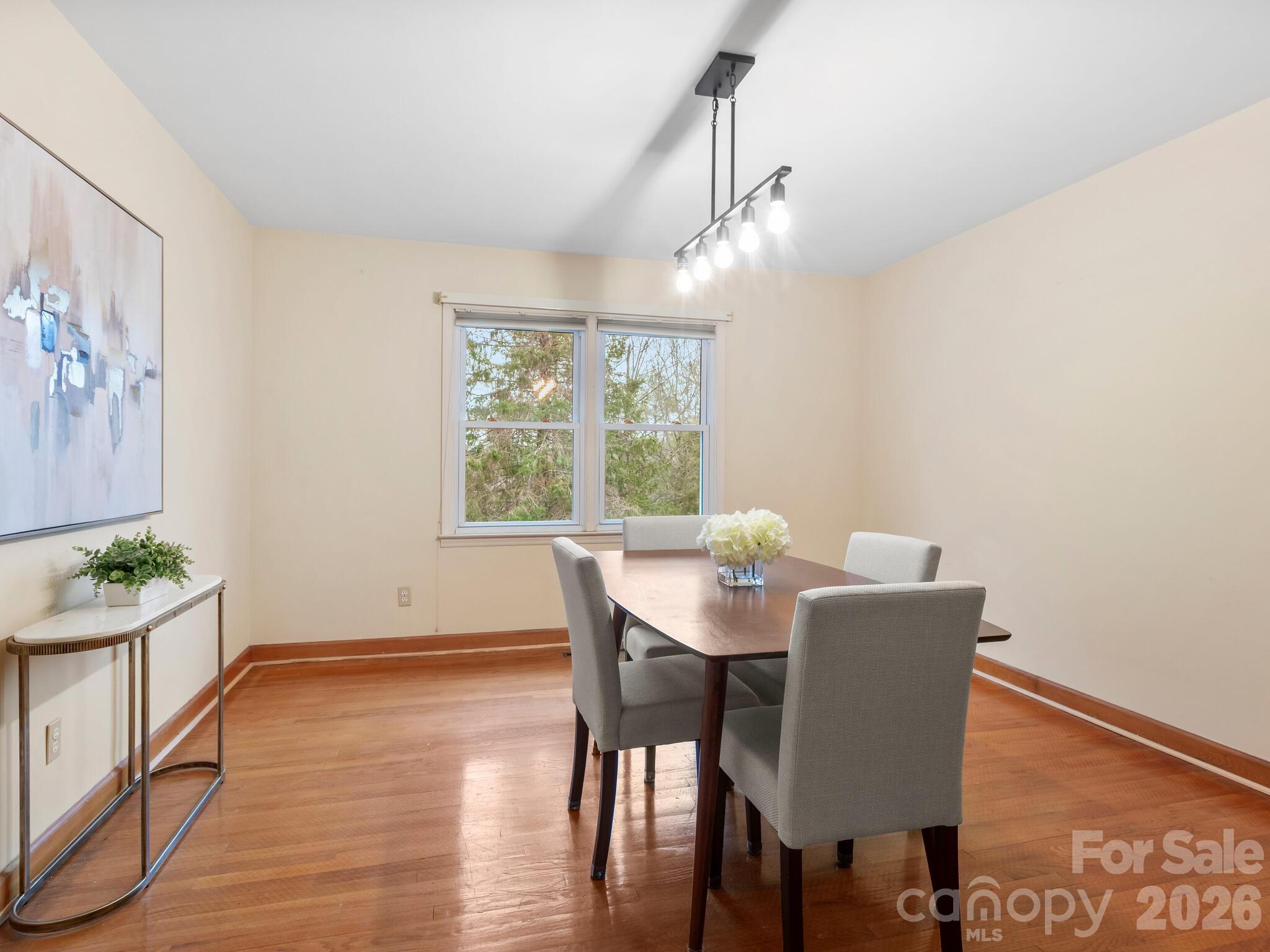 608 S Buena Vista Drive