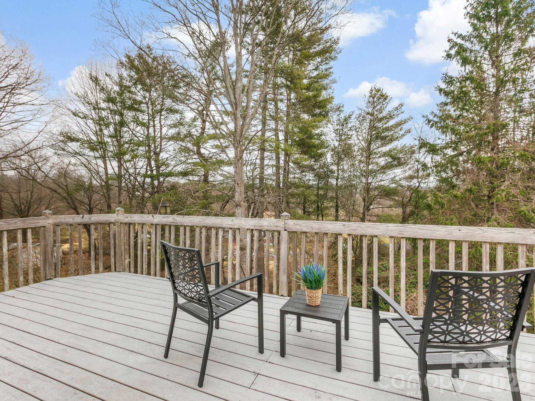 608 S Buena Vista Drive