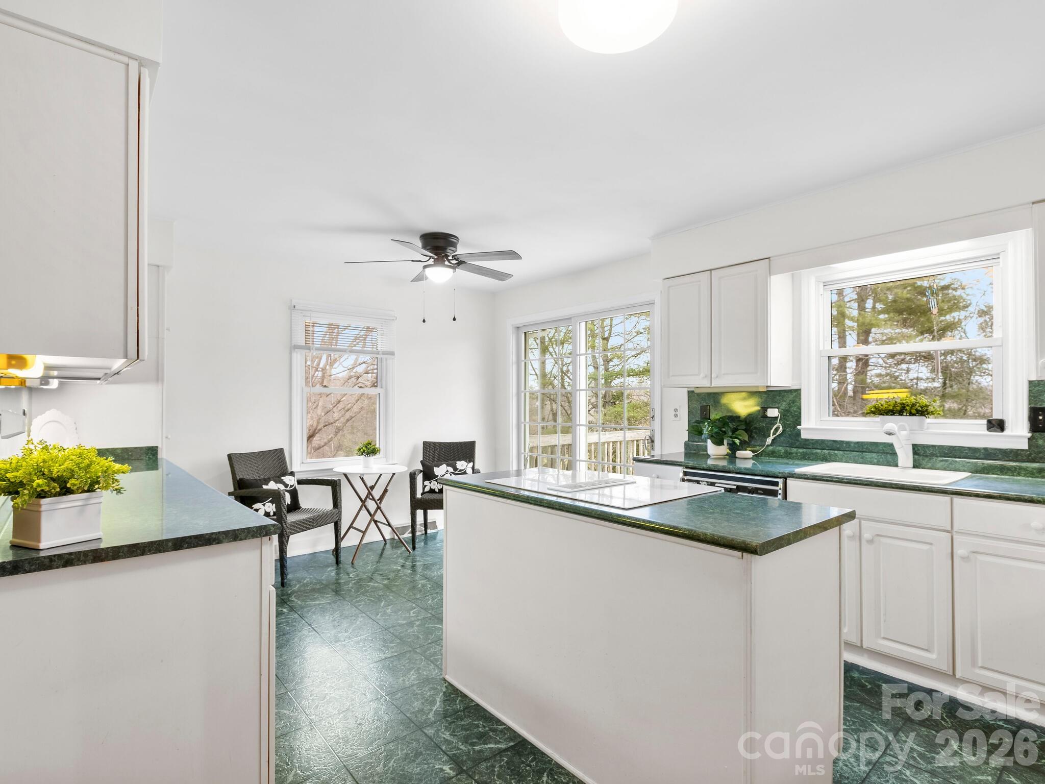 608 S Buena Vista Drive