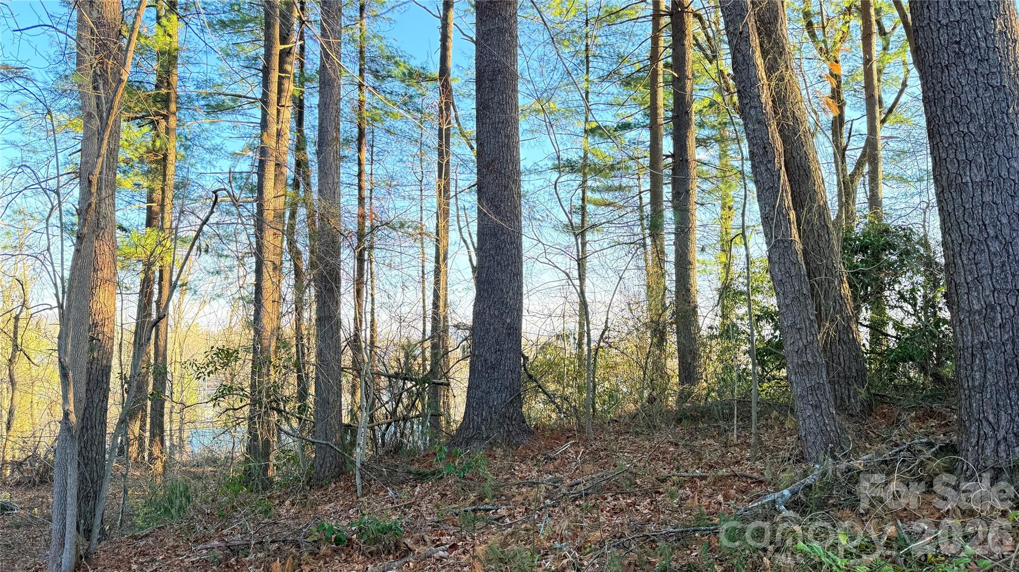 00 Toms Park Circle Unit: 21&22