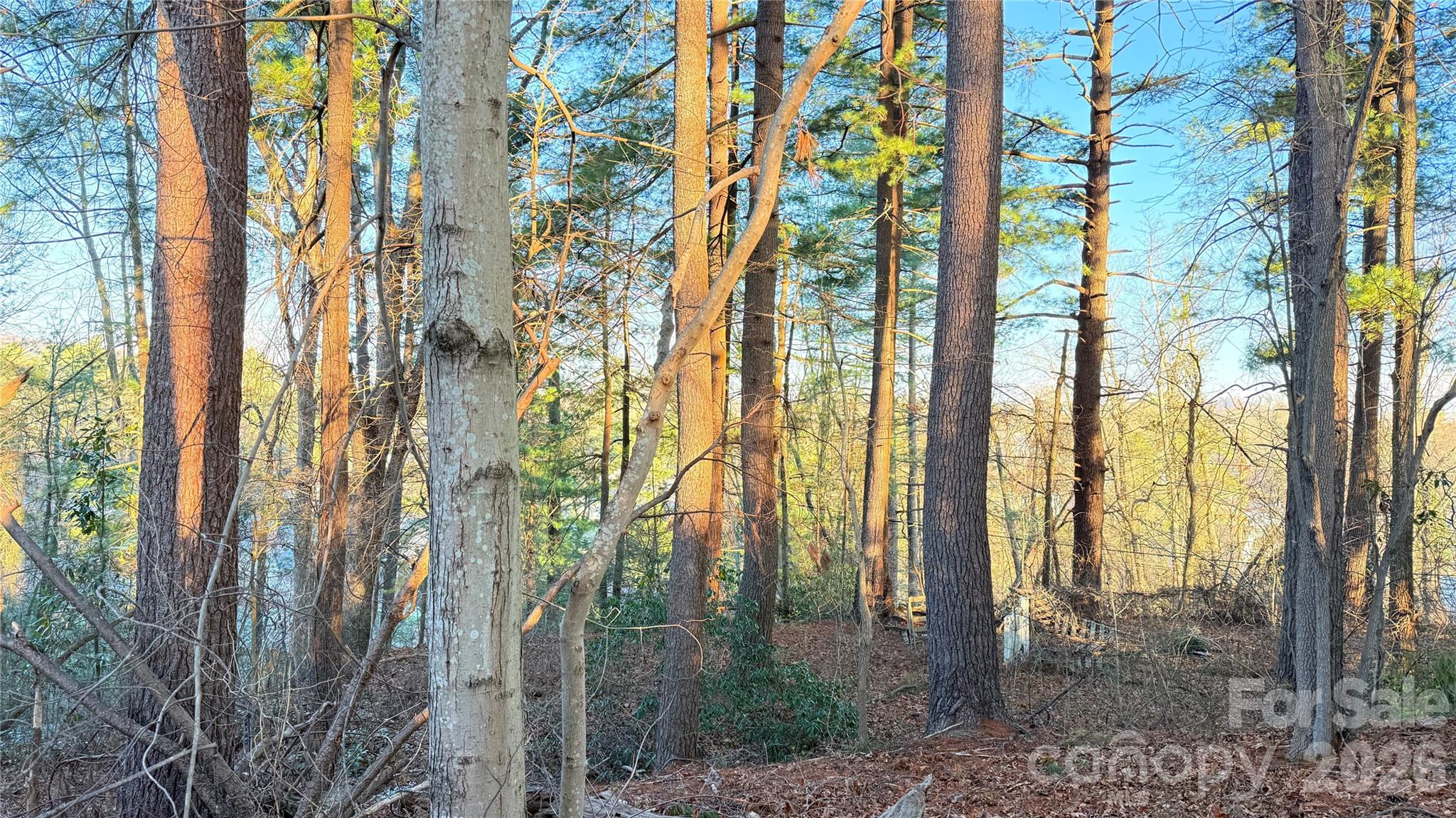 00 Toms Park Circle Unit: 21&22