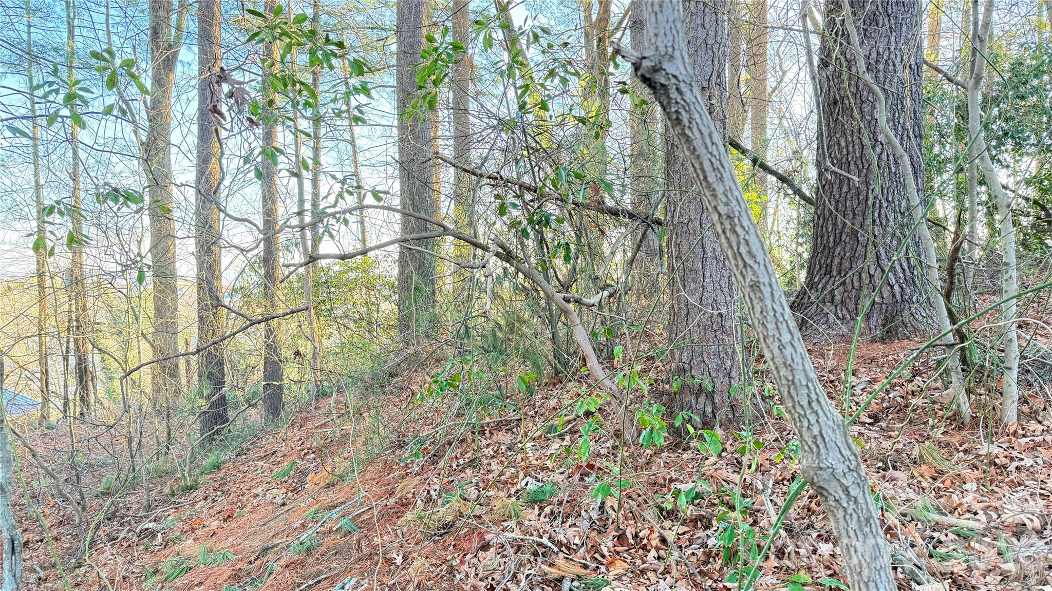 00 Toms Park Circle Unit: 21&22