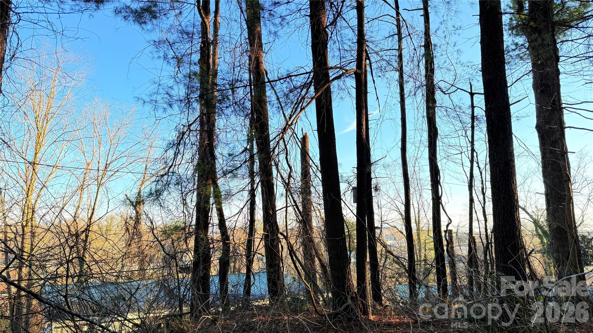 00 Toms Park Circle Unit: 21&22