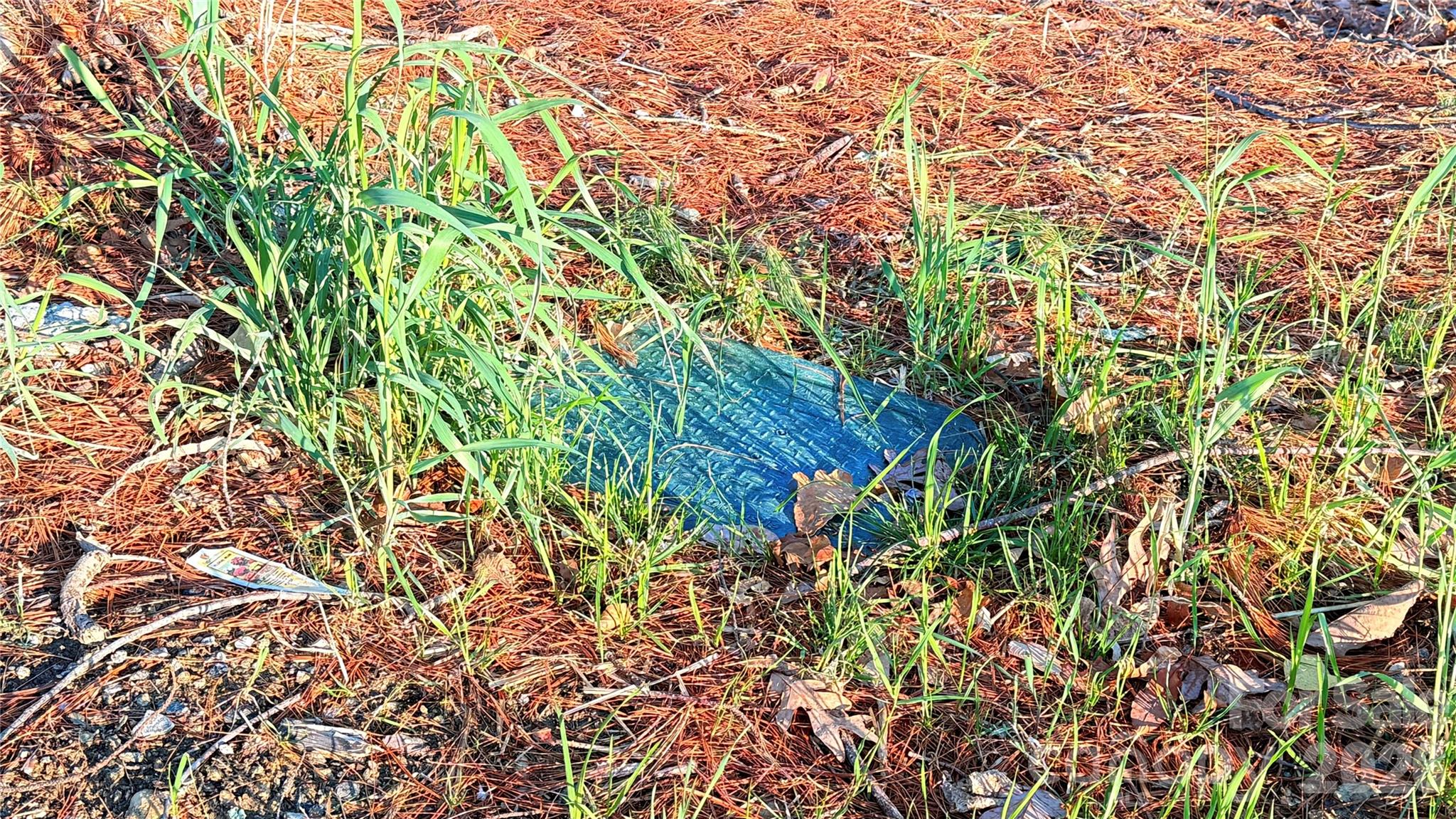 00 Toms Park Circle Unit: 21&22