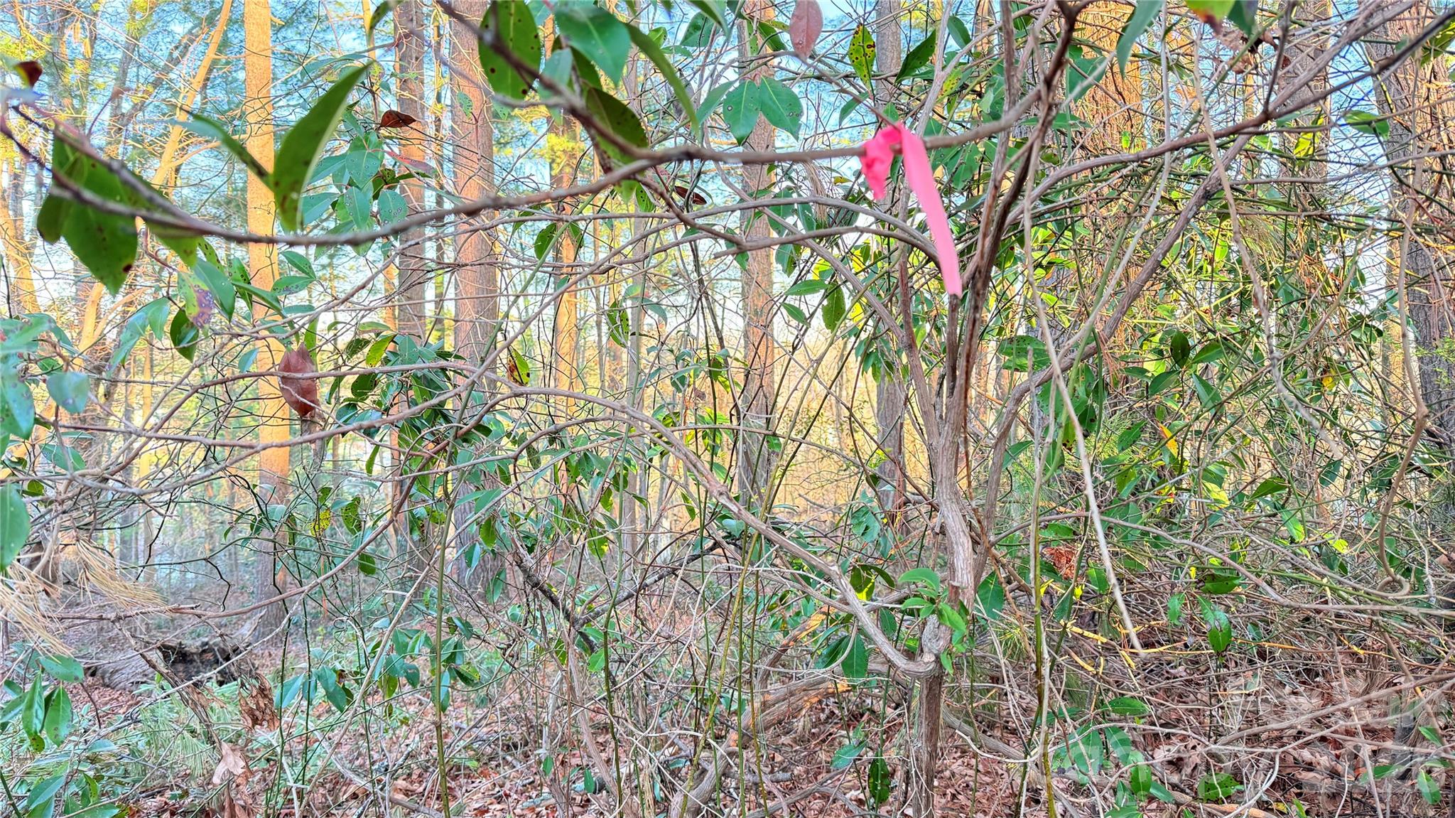 00 Toms Park Circle Unit: 21&22