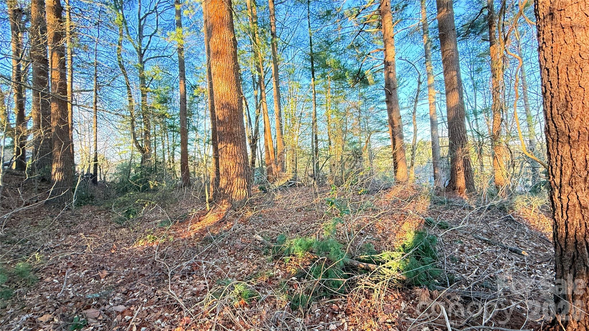 00 Toms Park Circle Unit: 21&22