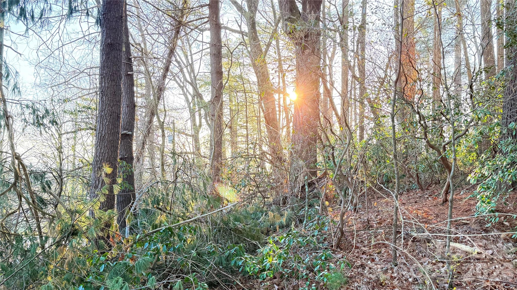 00 Toms Park Circle Unit: 21&22