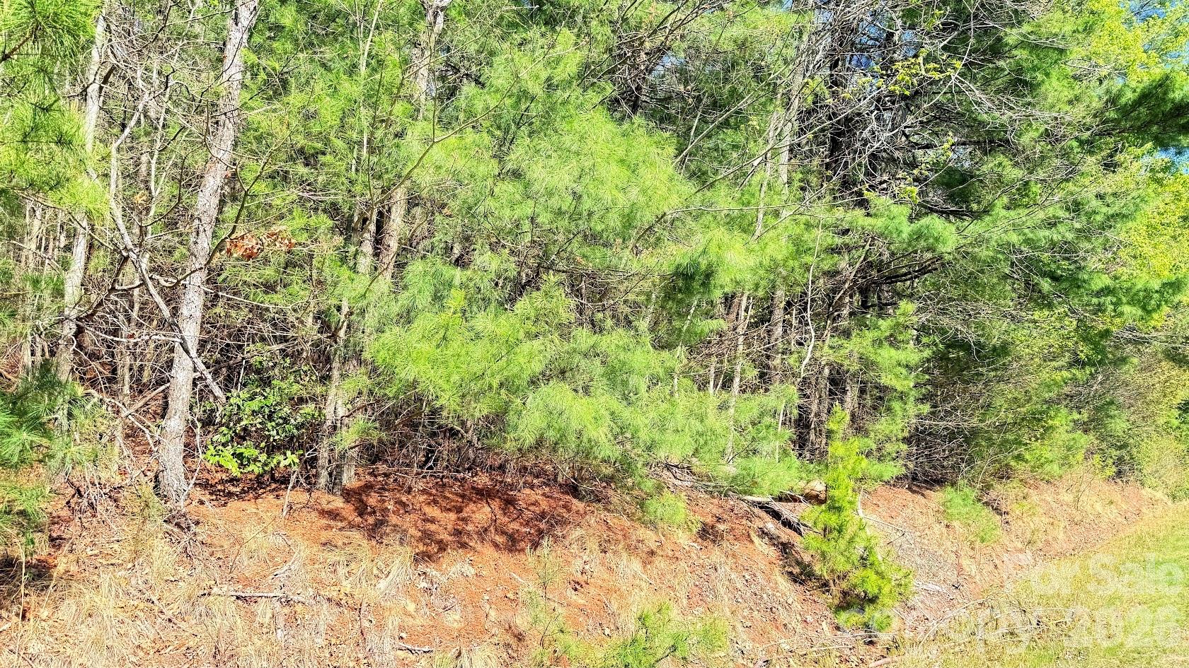 000 Jeter Mountain Road