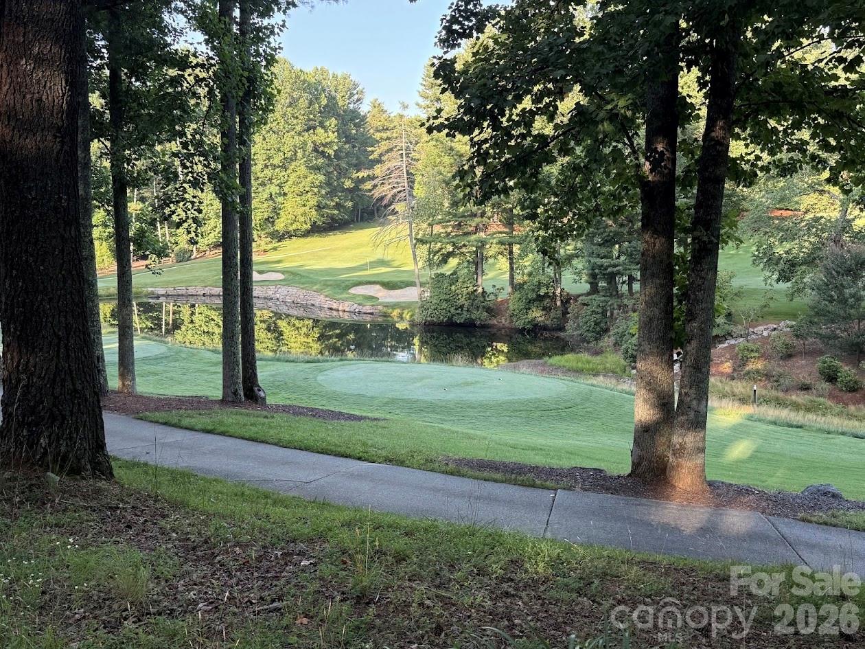 168 Chattooga Run
