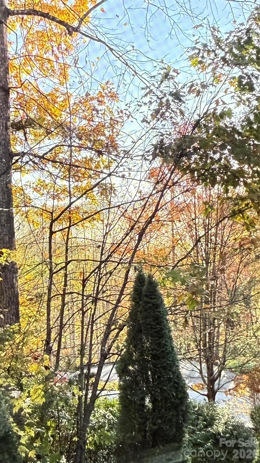 168 Chattooga Run