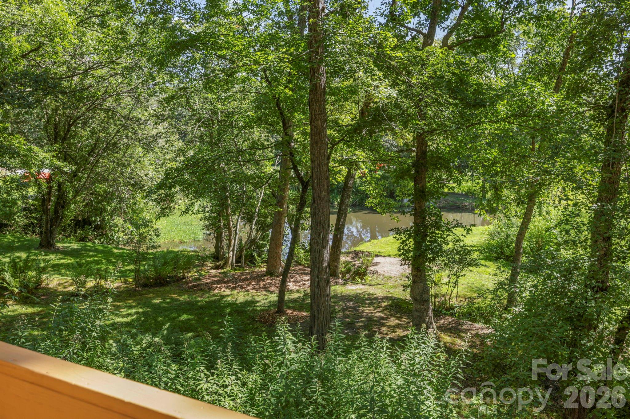 Wooded backyard with a small pond, viewed over a deck railing.
