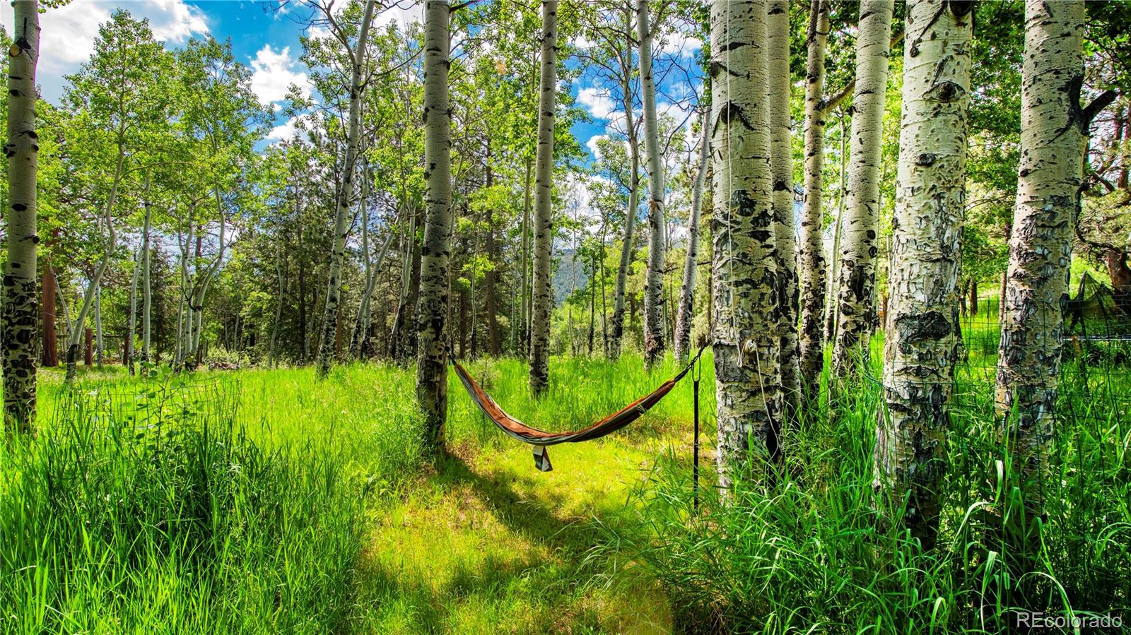 26 Cool Spring Drive